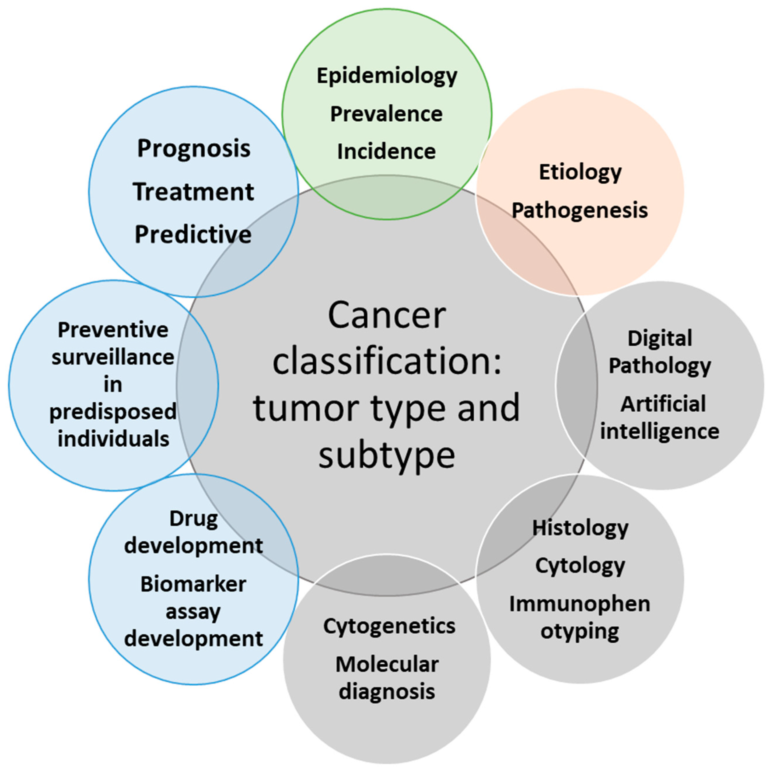 Lymphatics 01 00007 g004 Lymphatics 01 00007 g004
