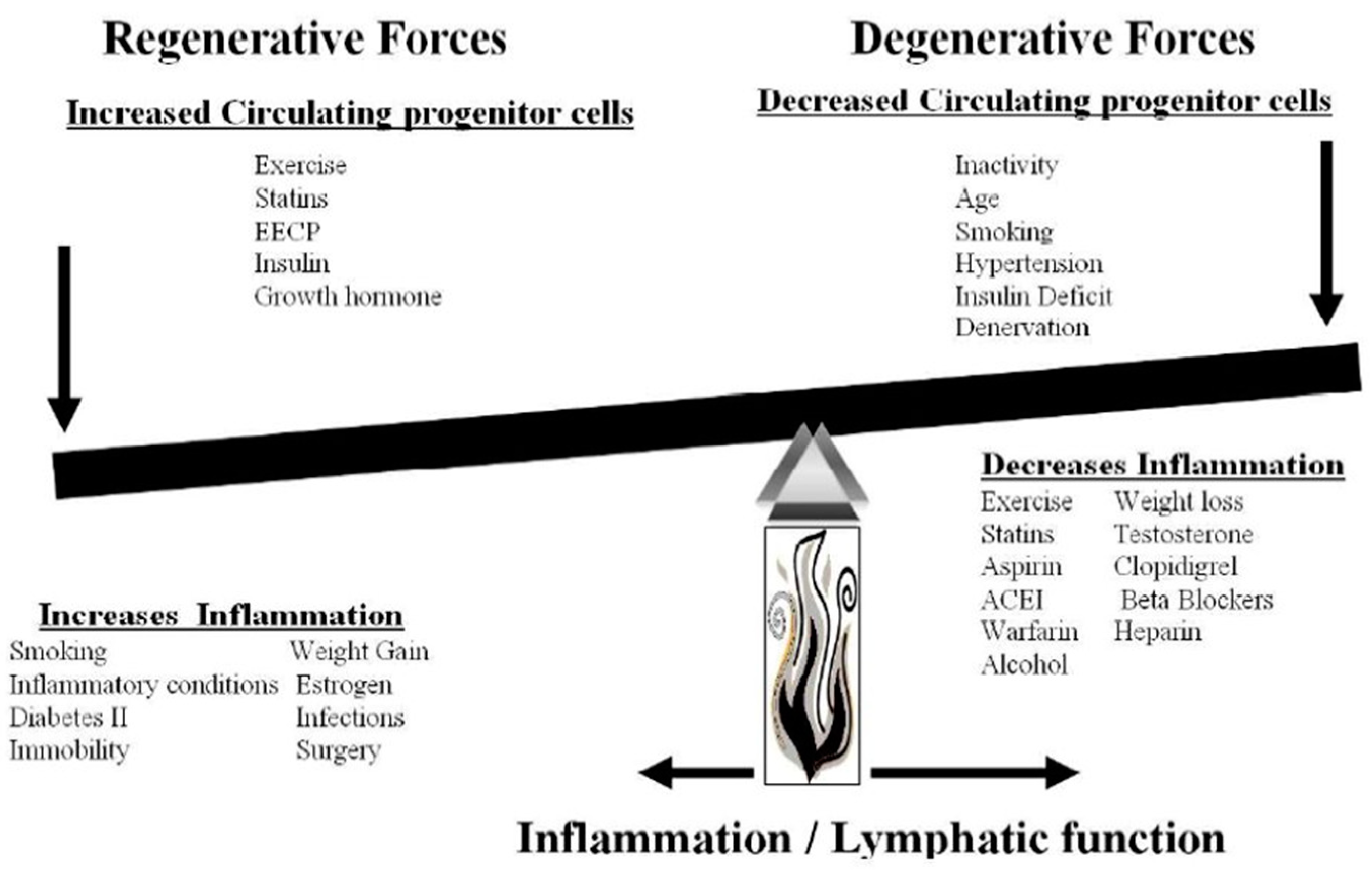 Lymphatics 01 00009 g001
