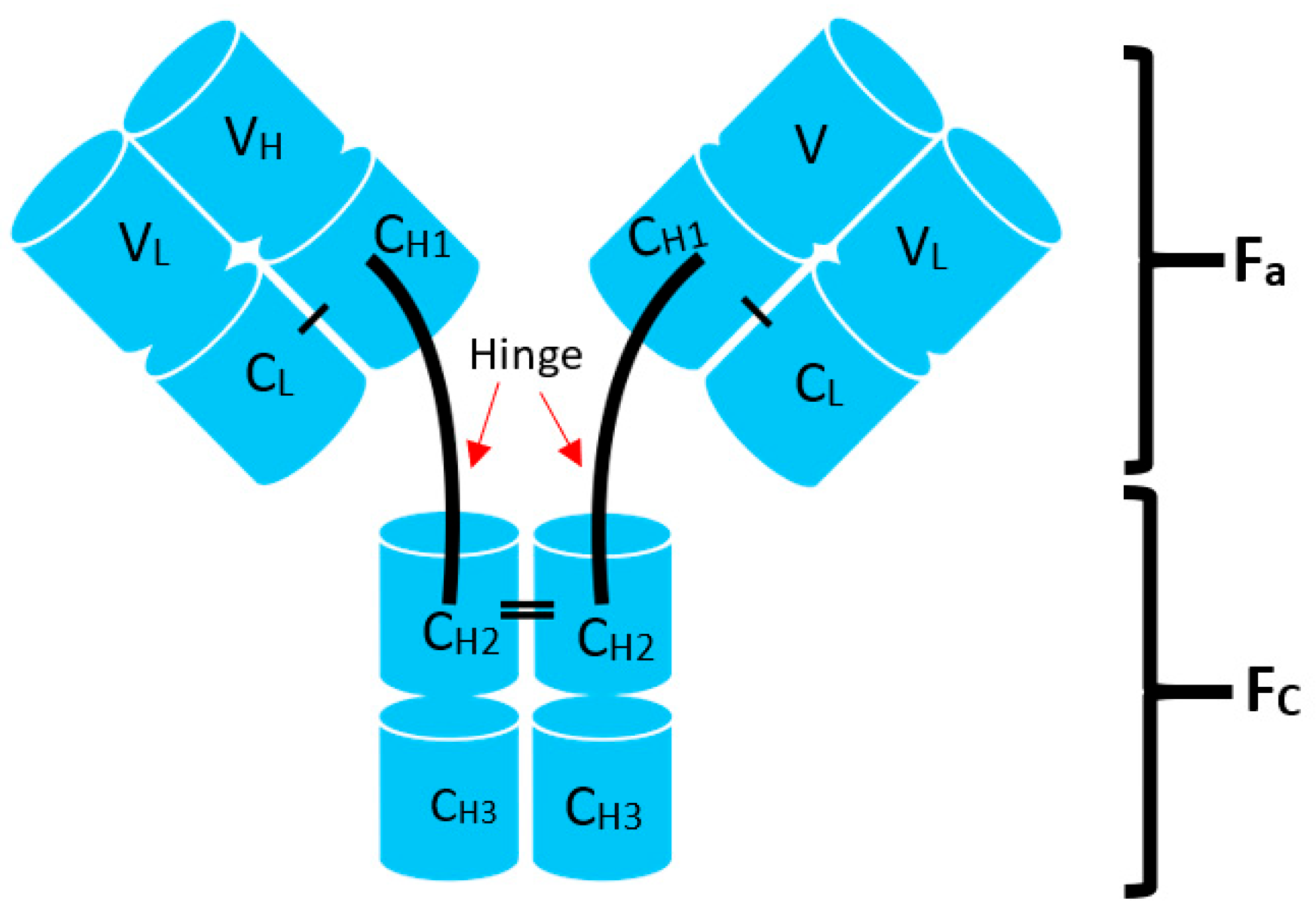 Lymphatics 01 00015 g001