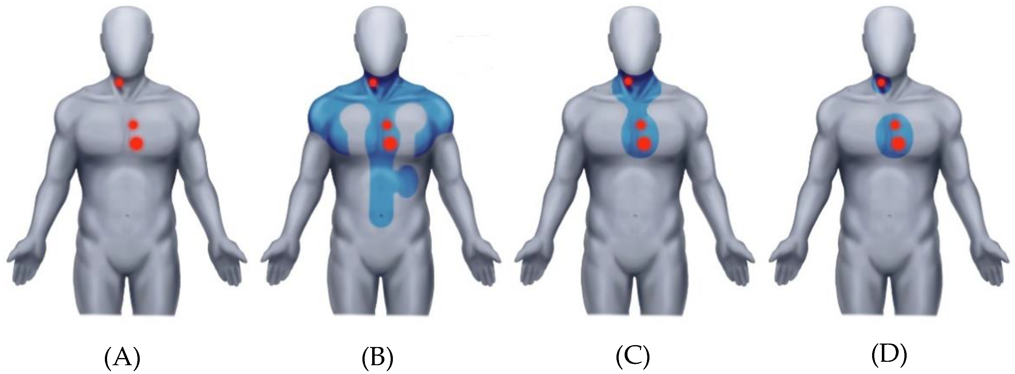 Lymphatics 01 00017 g001