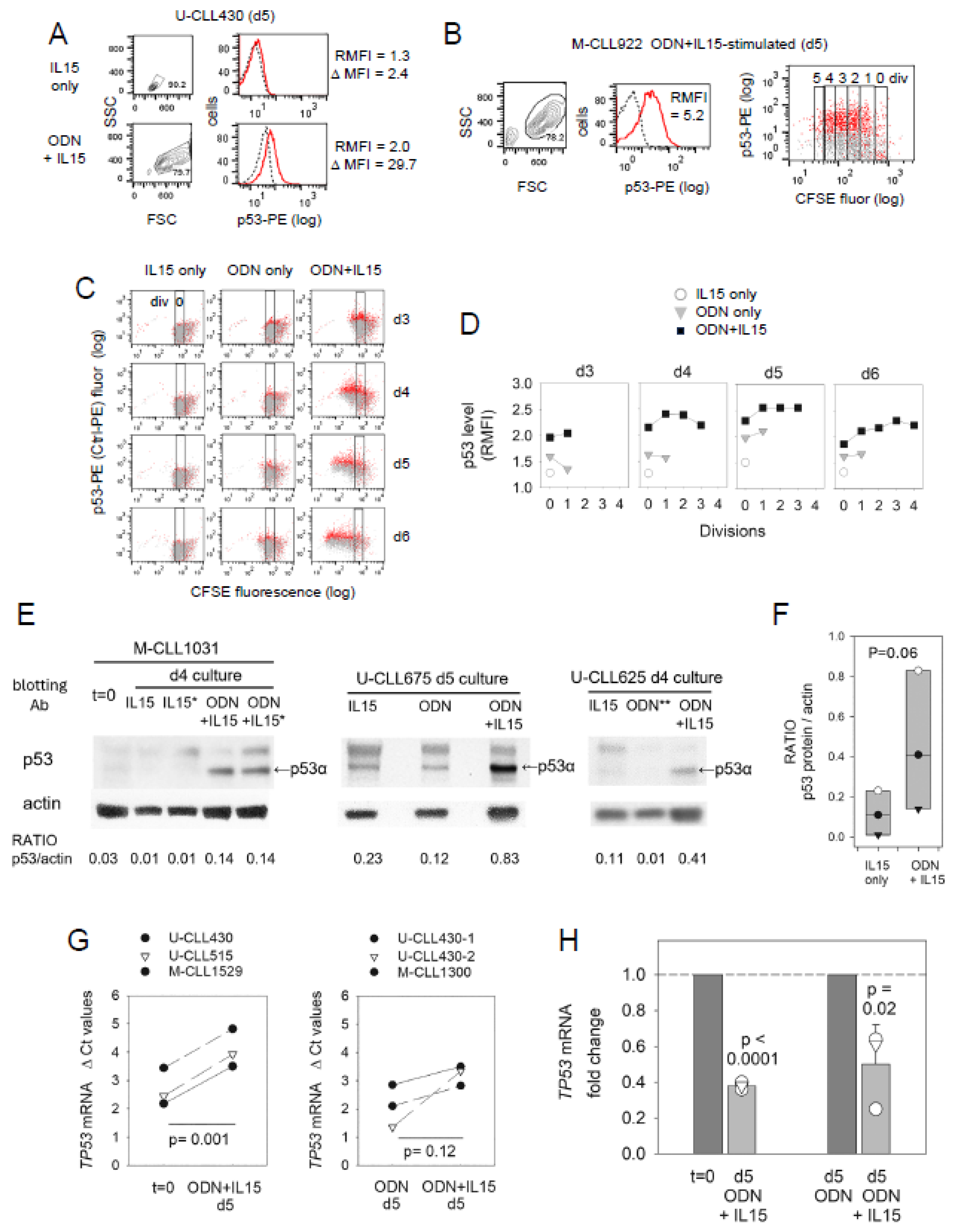 Lymphatics 02 00005 g005