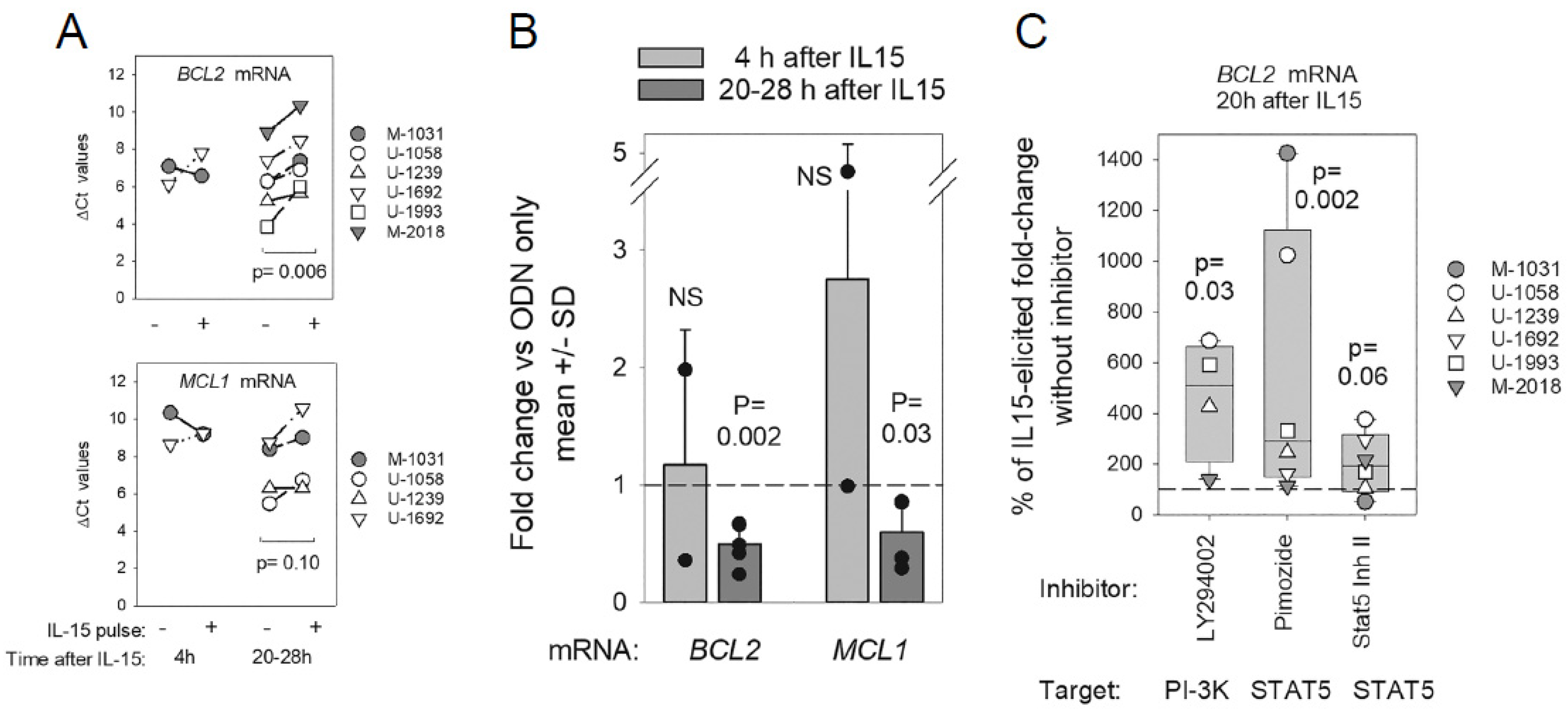 Lymphatics 02 00005 g006