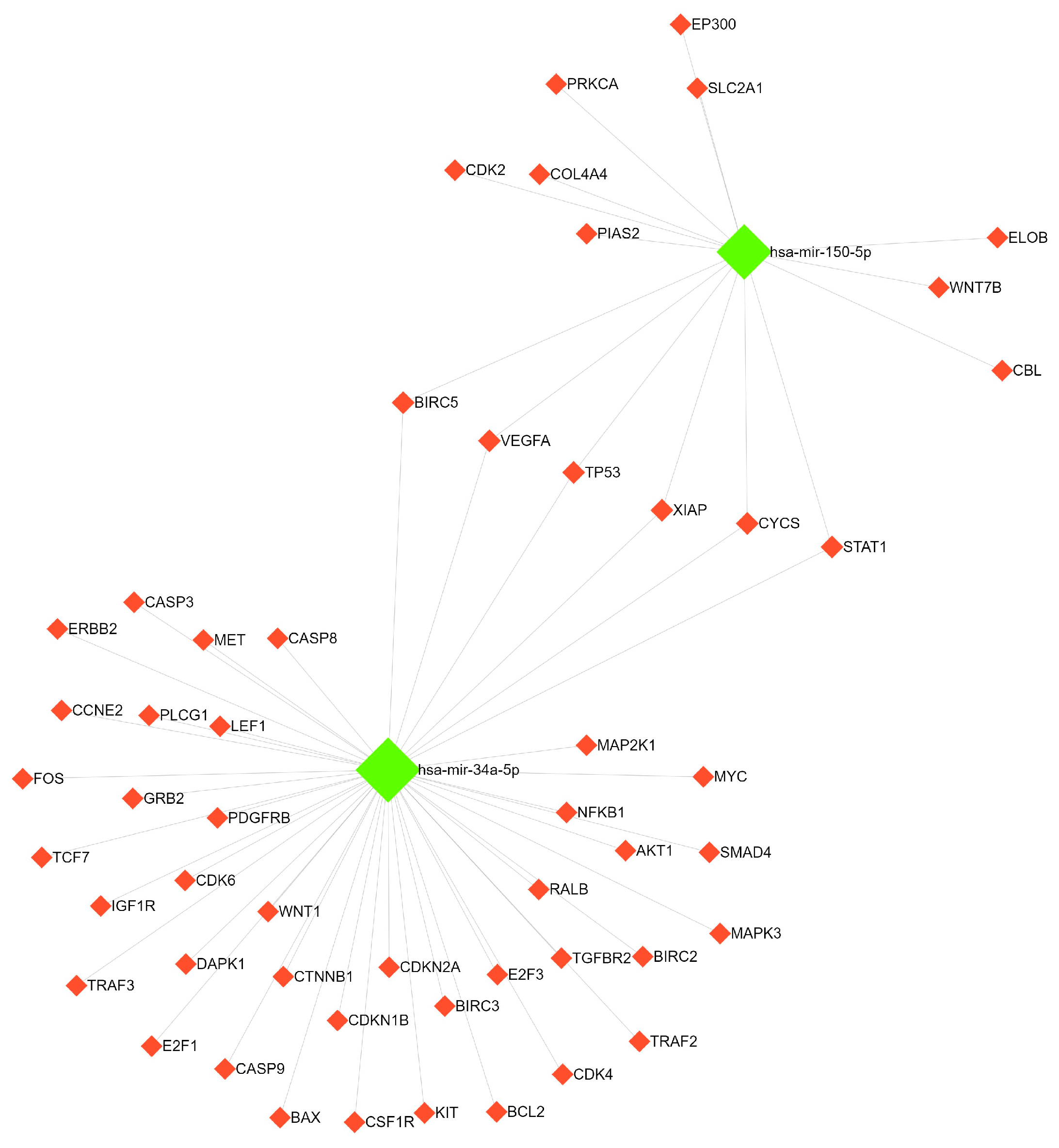 Lymphatics 02 00013 g002