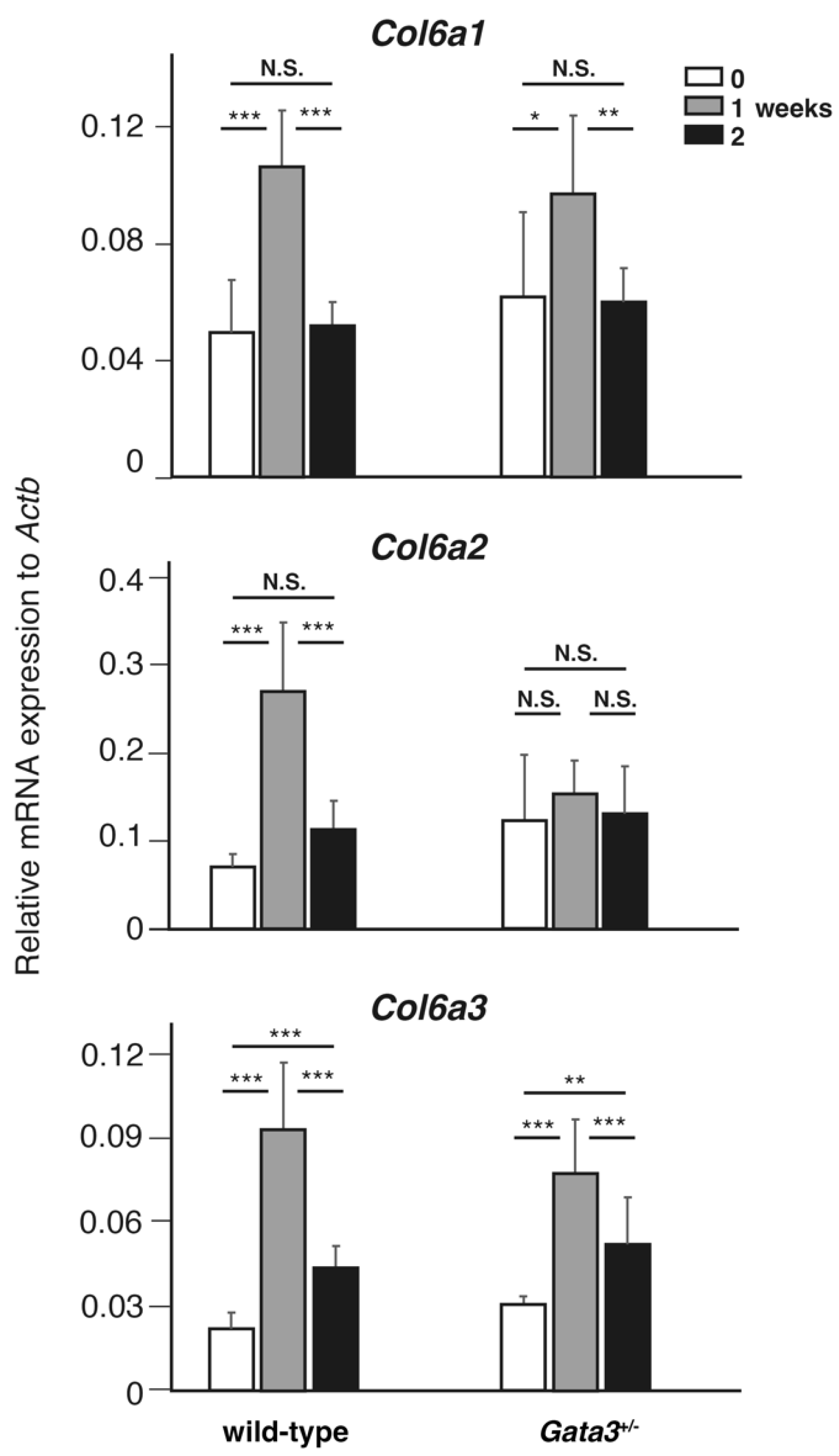Lymphatics 03 00007 g003