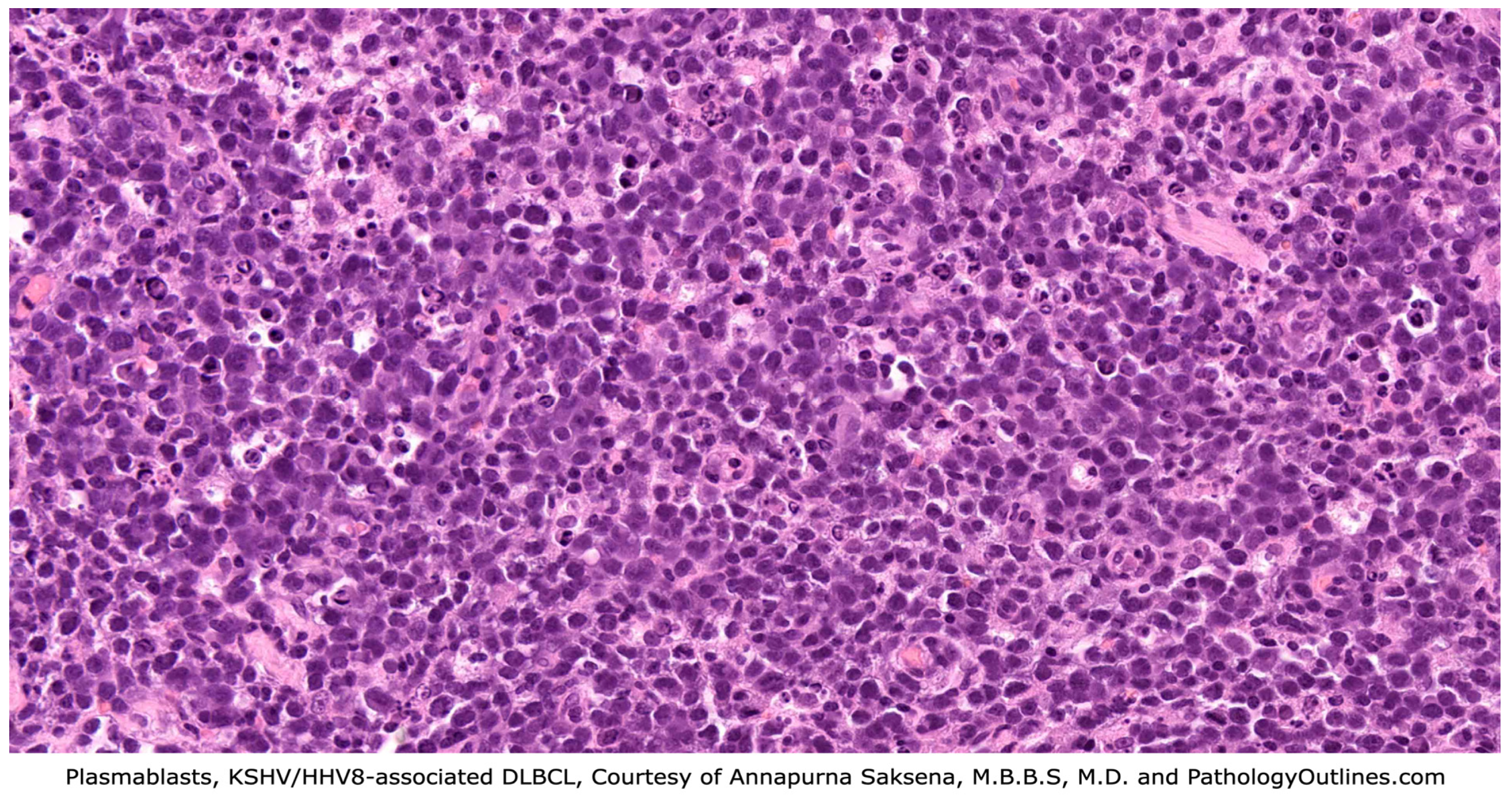 Lymphatics 03 00020 g003