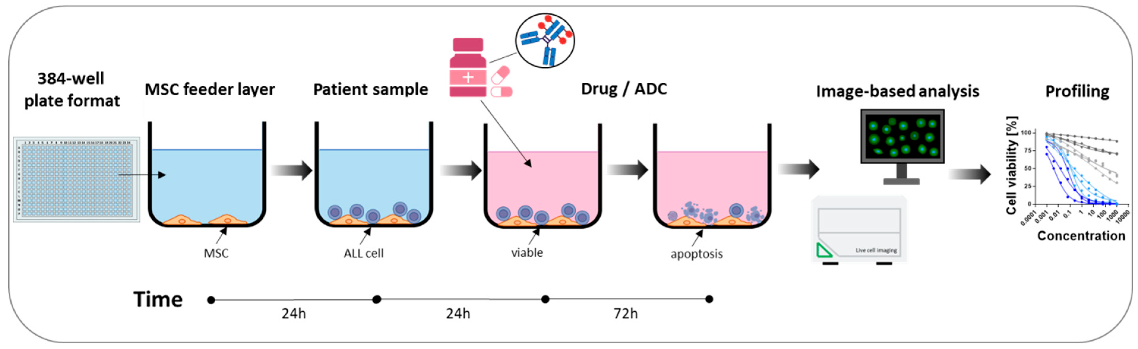 Lymphatics 03 00033 g005 Lymphatics 03 00033 g005