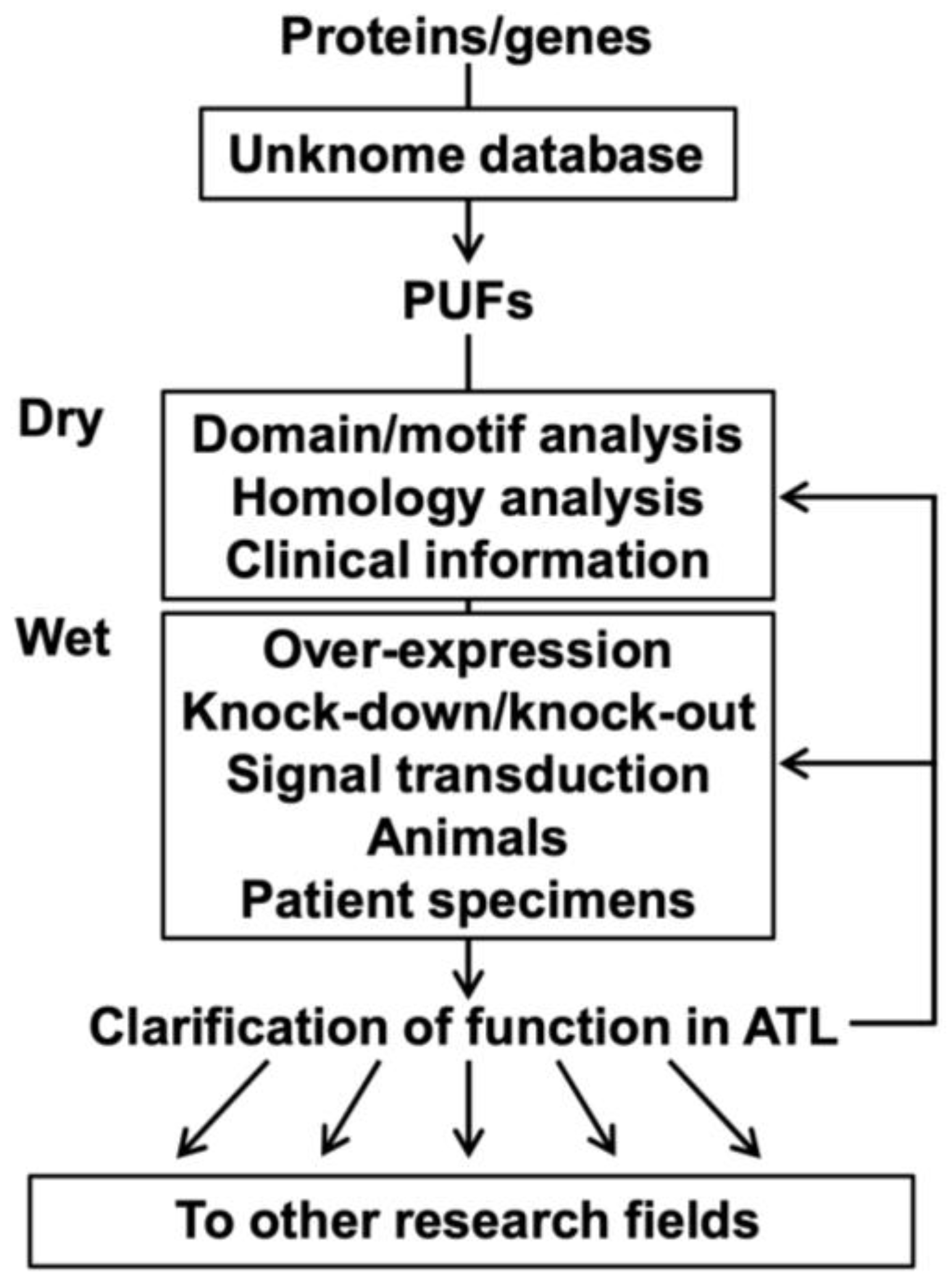Lymphatics 03 00038 g003 Lymphatics 03 00038 g003