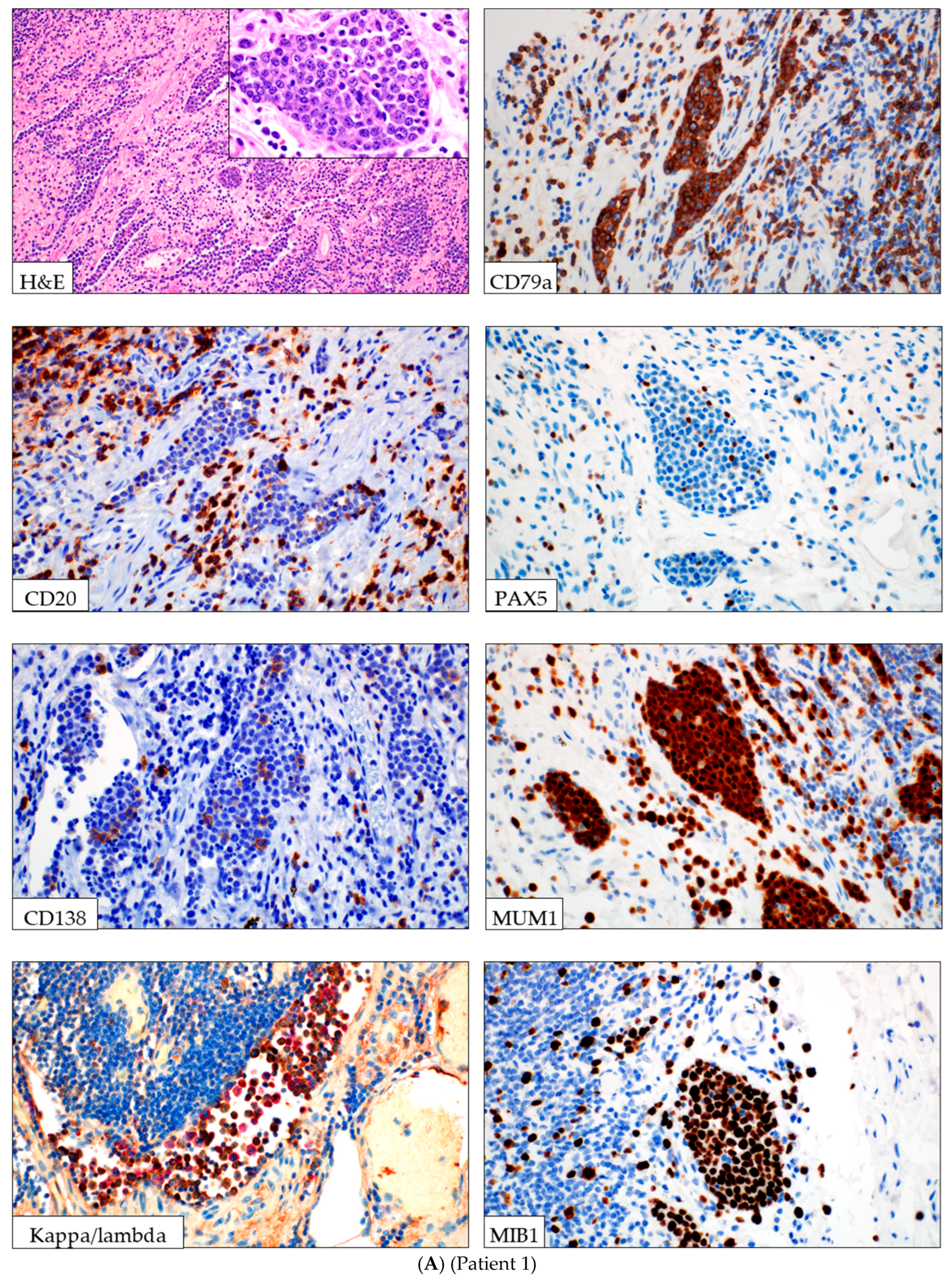 Lymphatics 03 00040 g001a