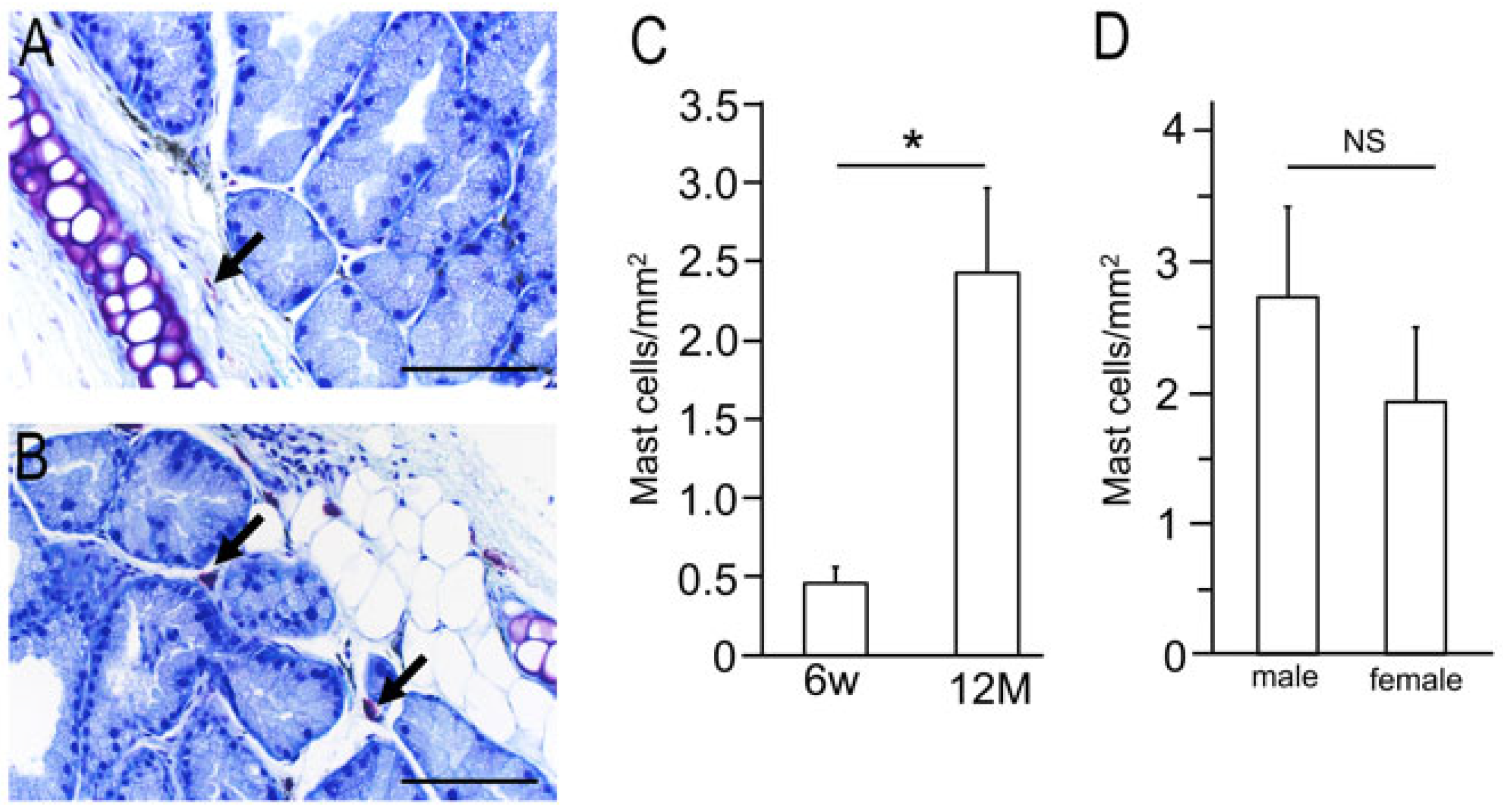 Lymphatics 03 00048 g002 Lymphatics 03 00048 g002
