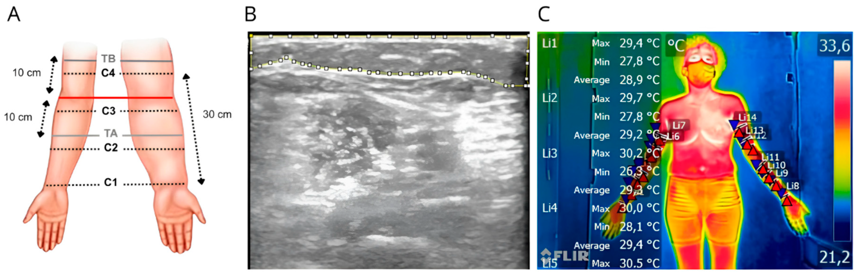 Lymphatics 04 00026 g002 Lymphatics 04 00026 g002