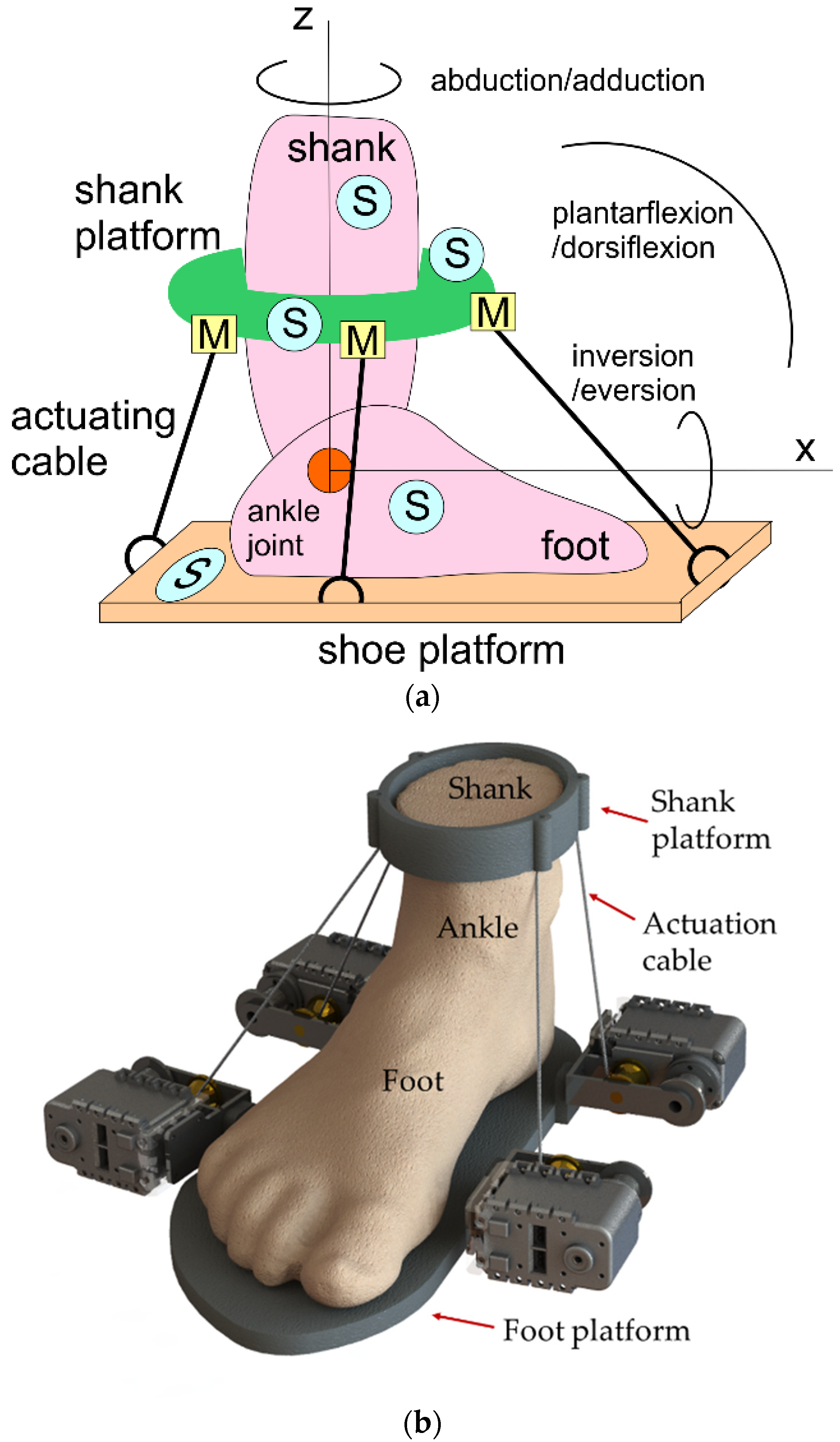 Machines 08 00048 g002