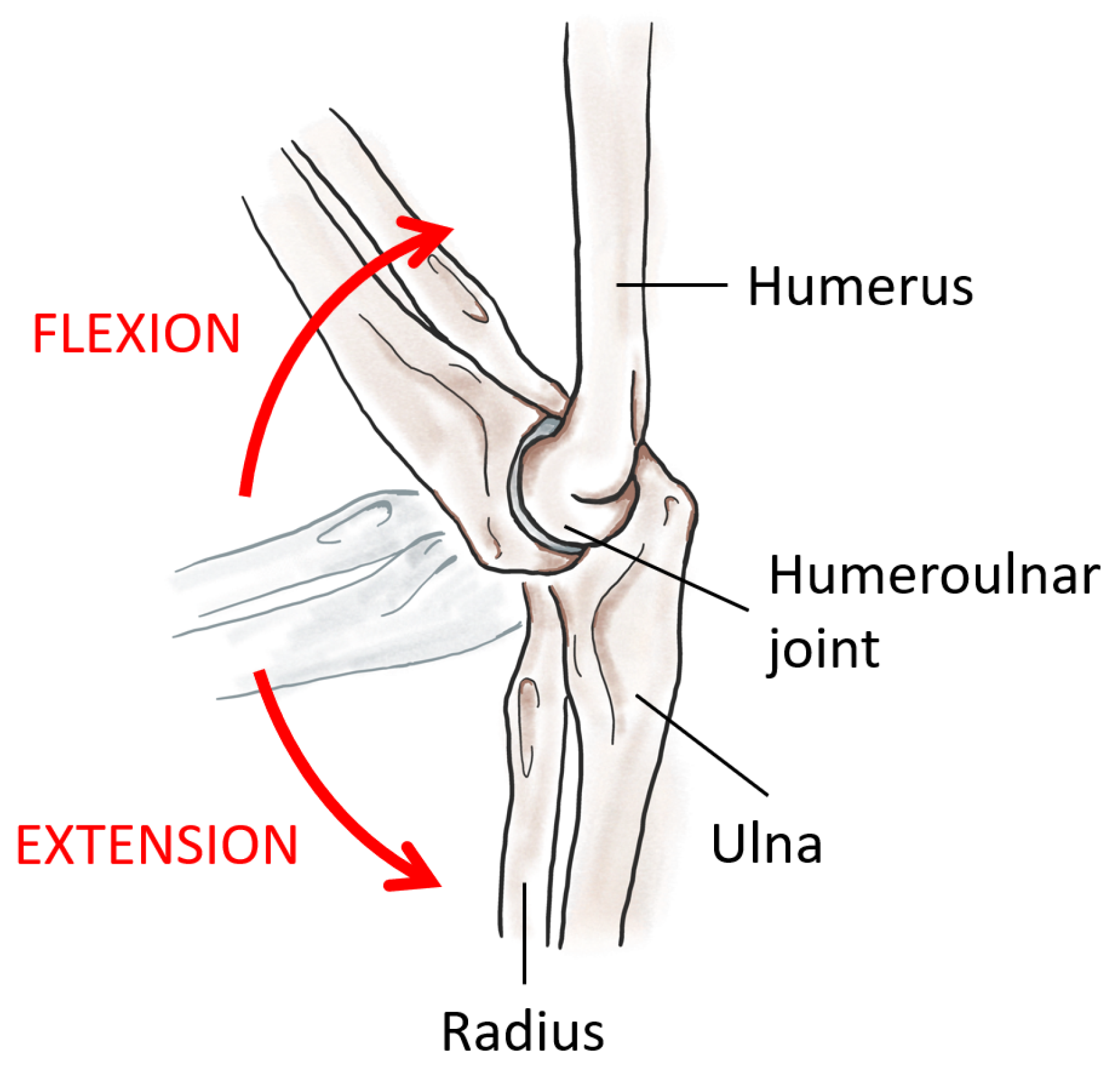 Machines 08 00068 g001