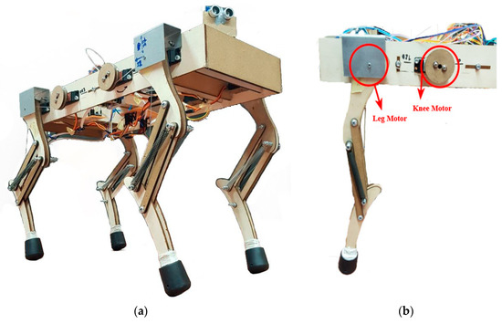 Design, Simulation, and Preliminary Validation of a Four-Legged Robot