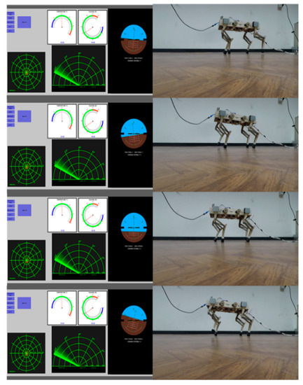 Design, Simulation, and Preliminary Validation of a Four-Legged Robot