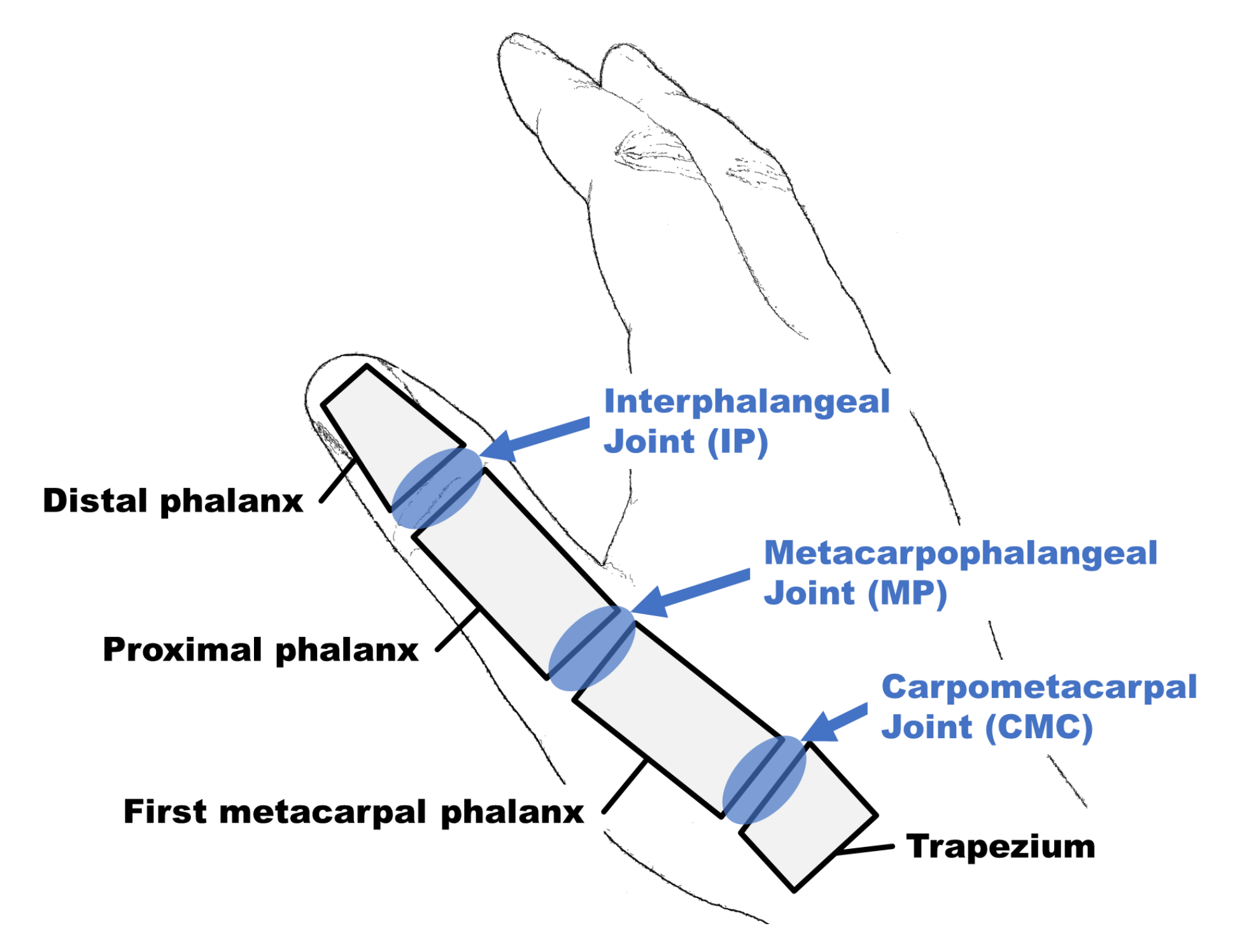 Machines 09 00050 g001