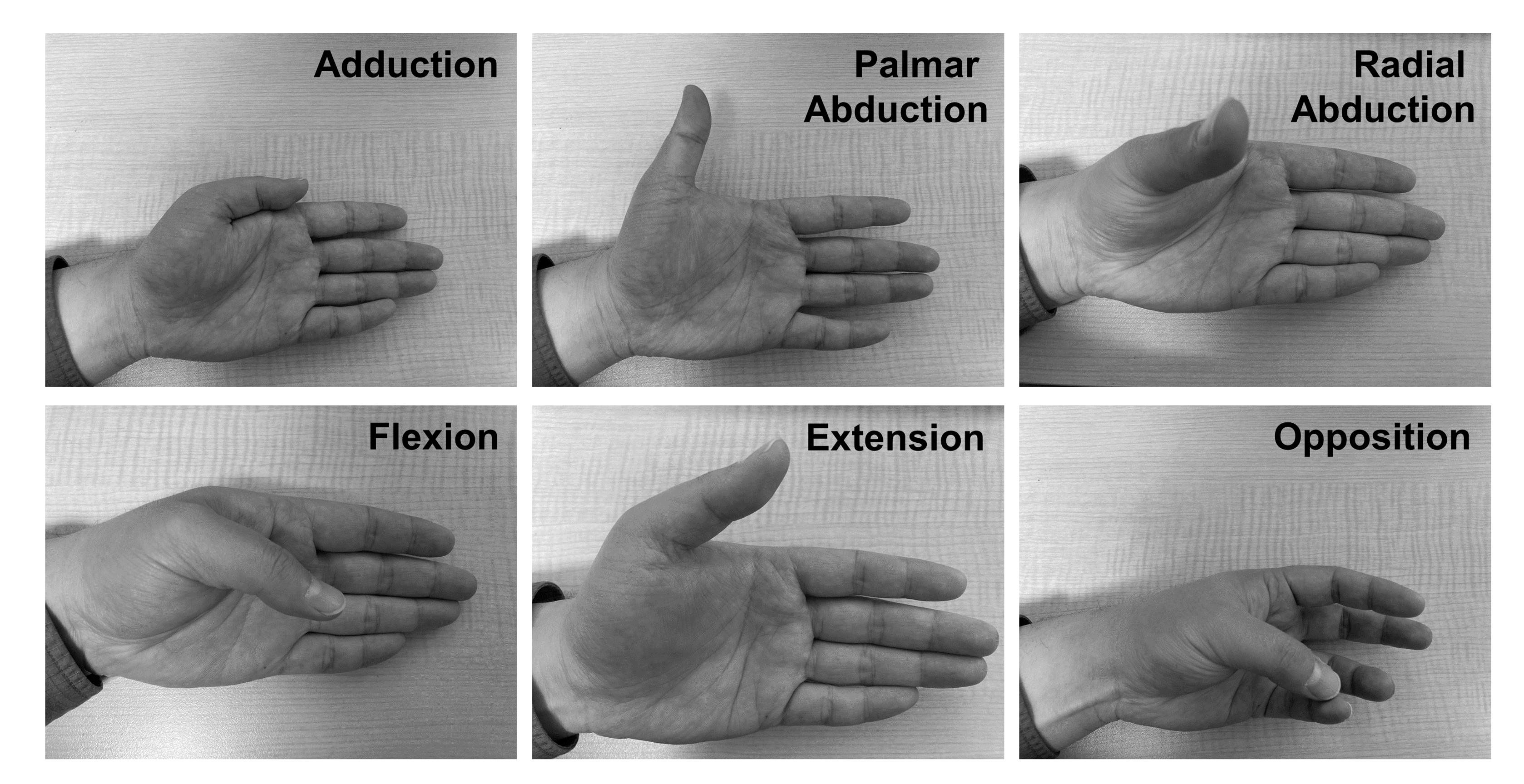 Machines 09 00050 g002