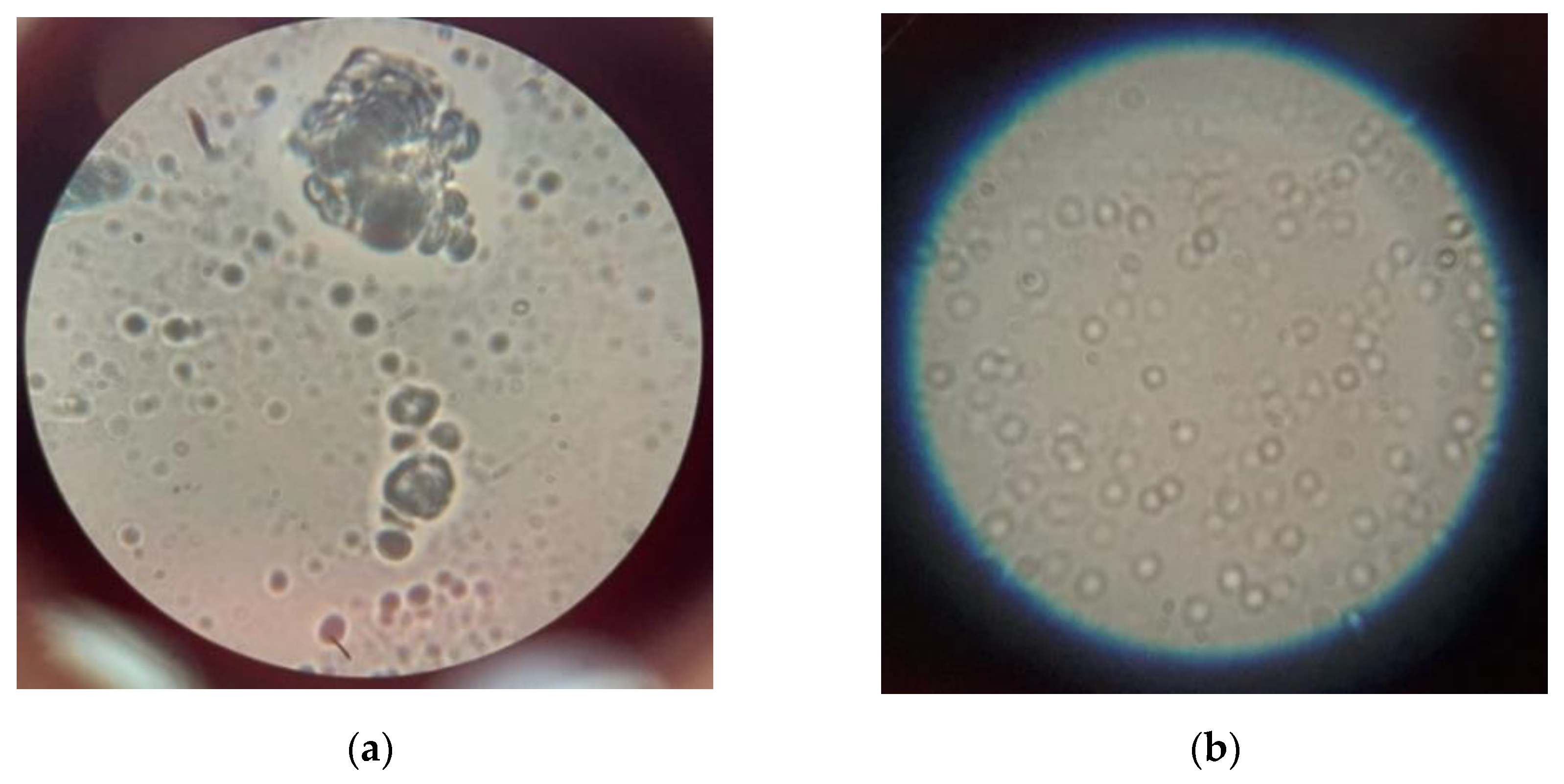 Machines 09 00064 g011