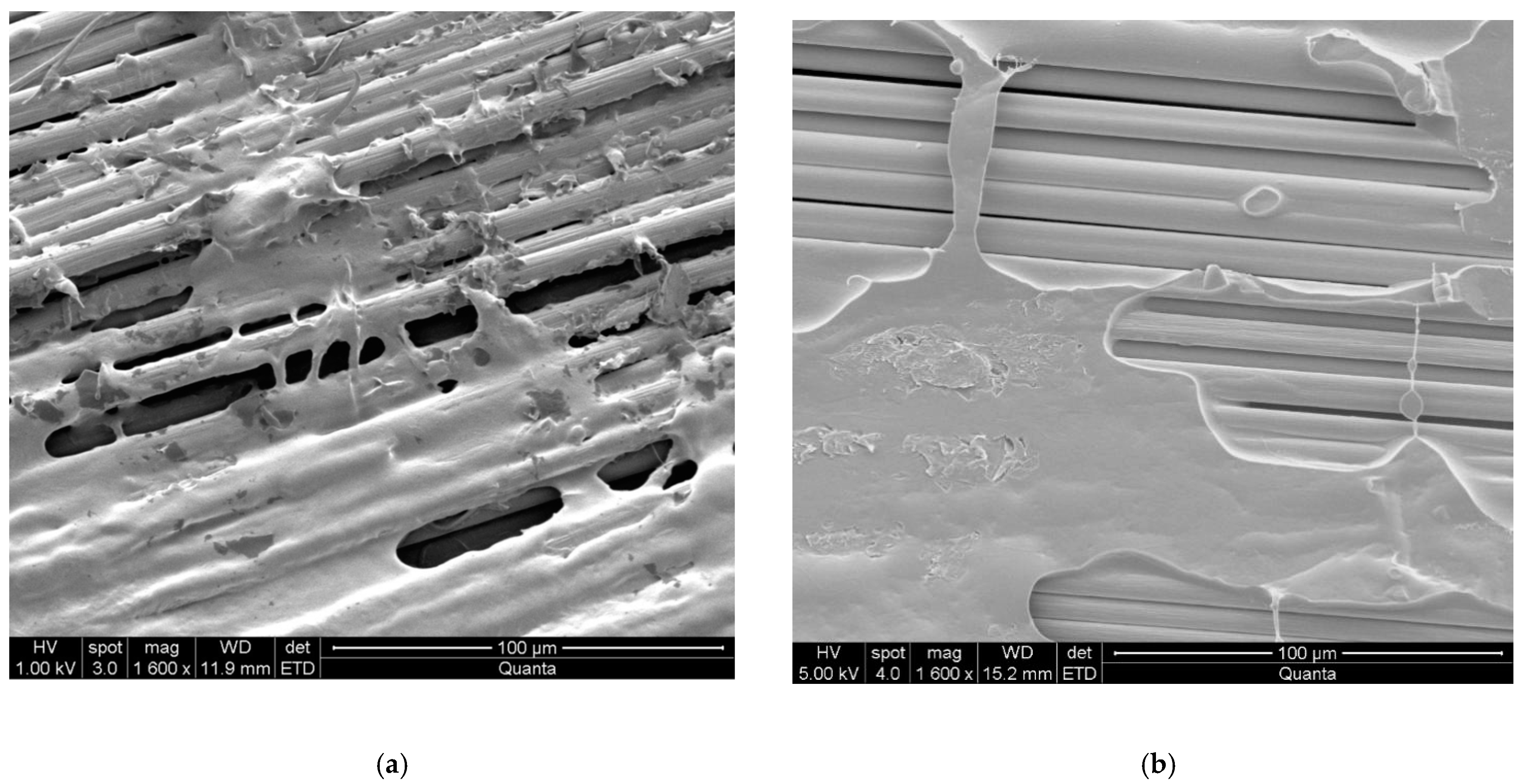 Machines 09 00143 g013 550