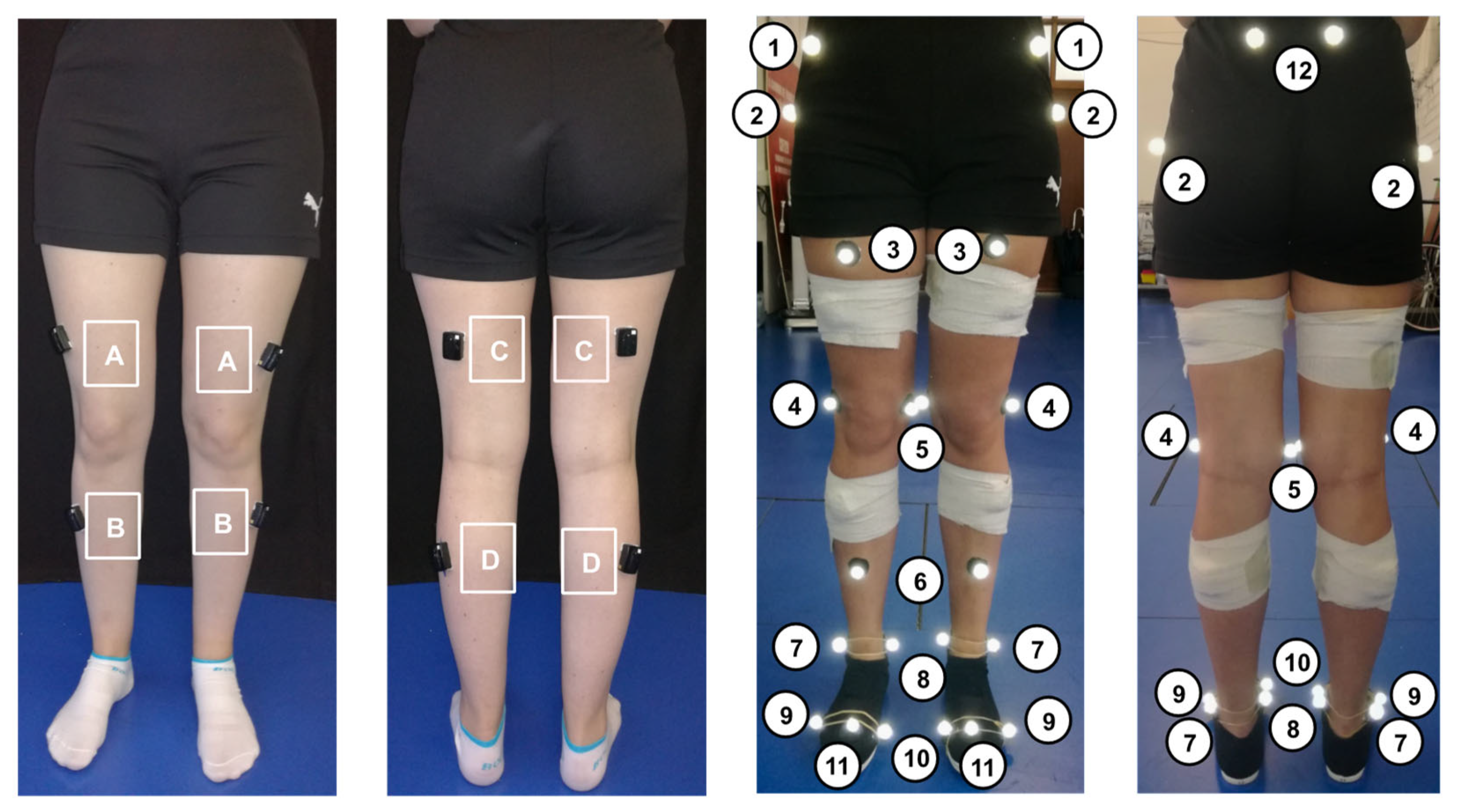 Machines 09 00154 g001 550