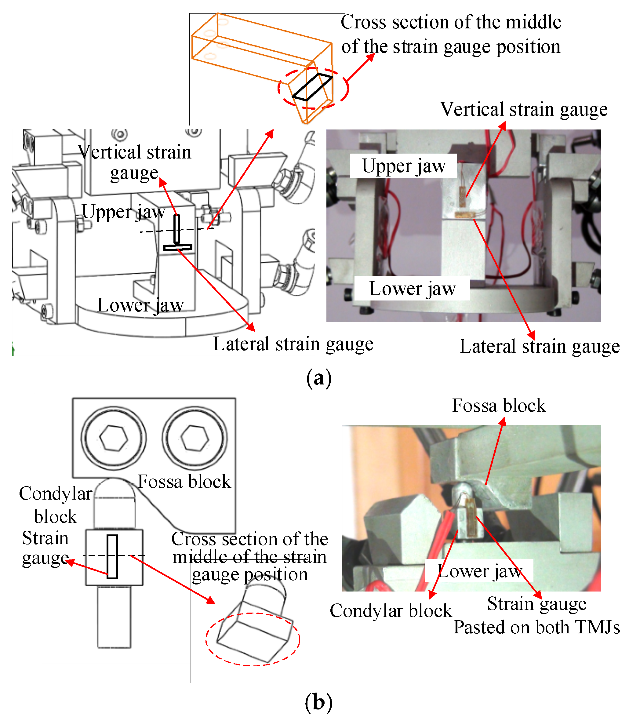Machines 09 00171 g012 550