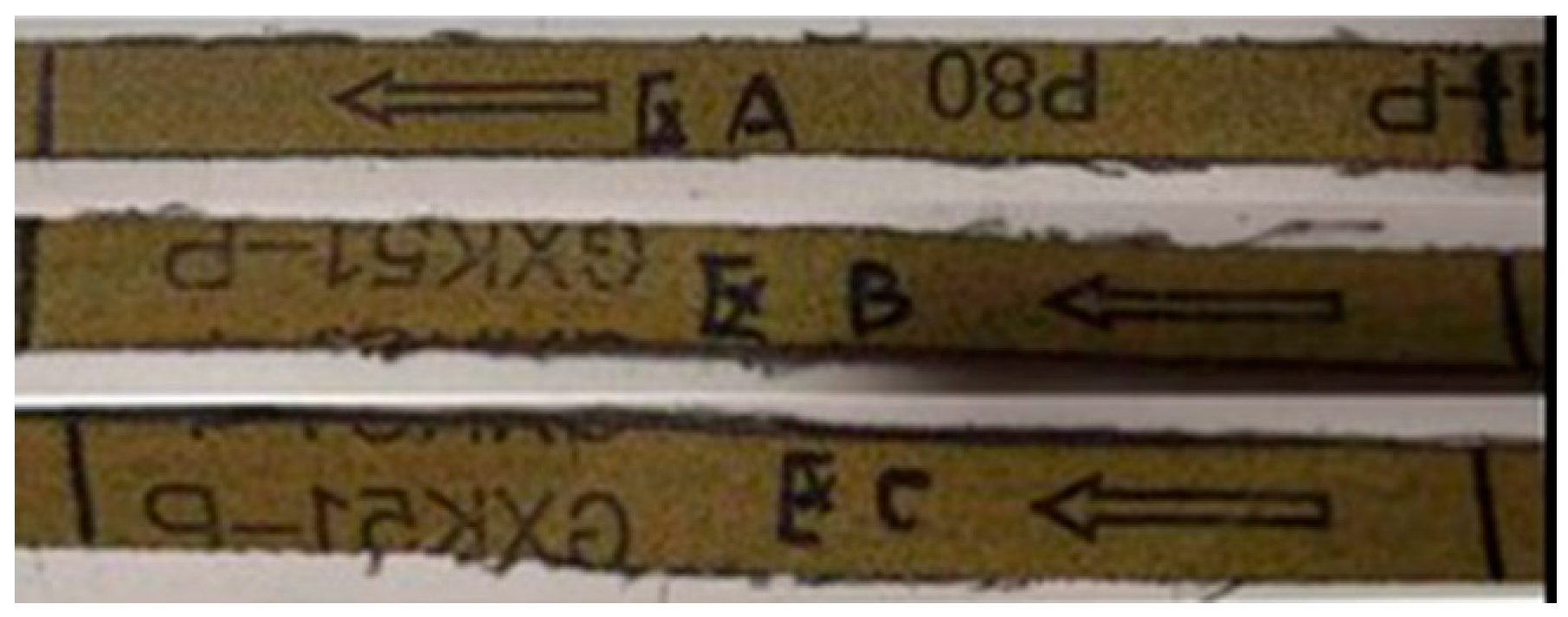 Machines 09 00314 g008