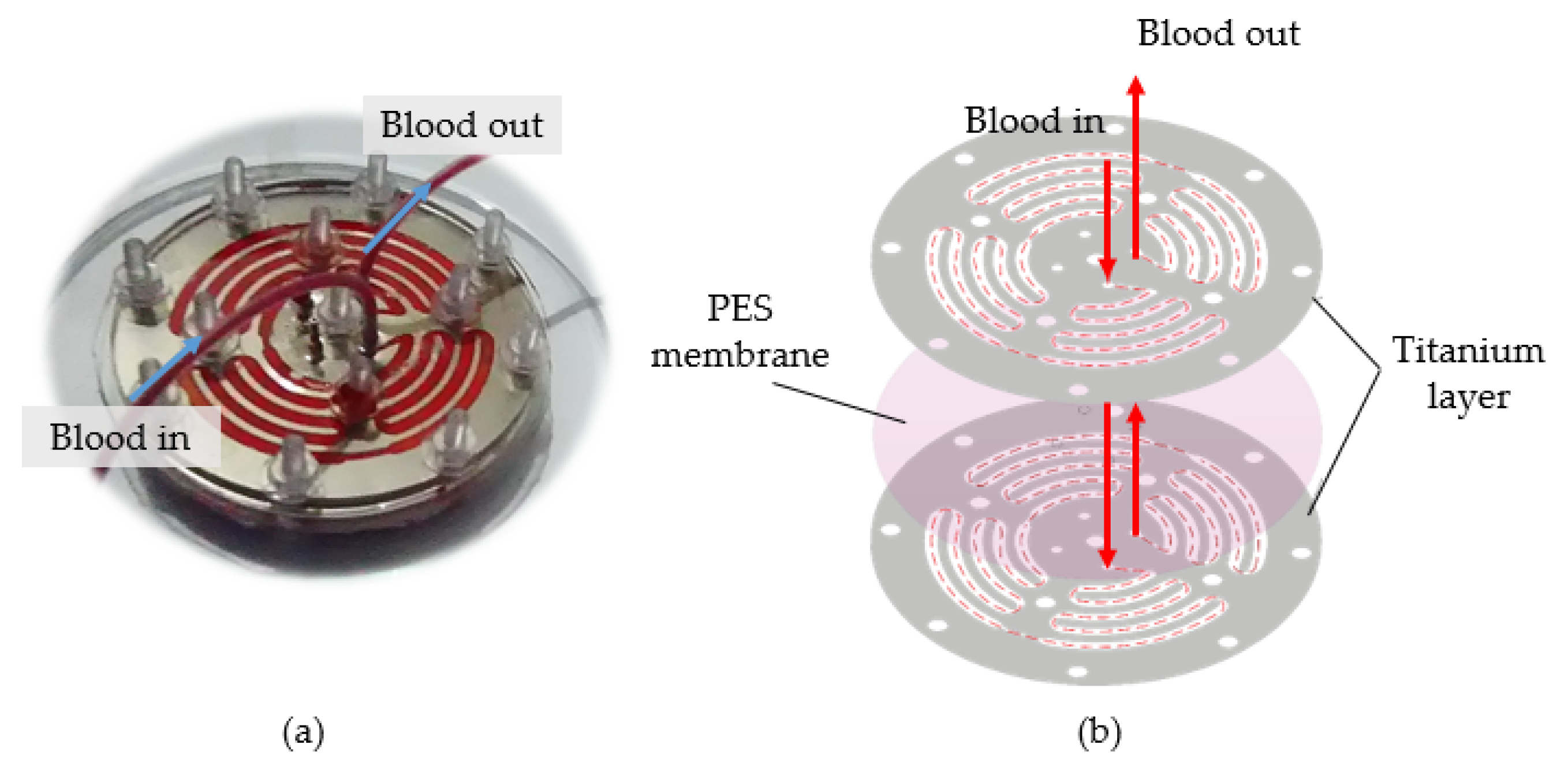 Machines 09 00325 g009