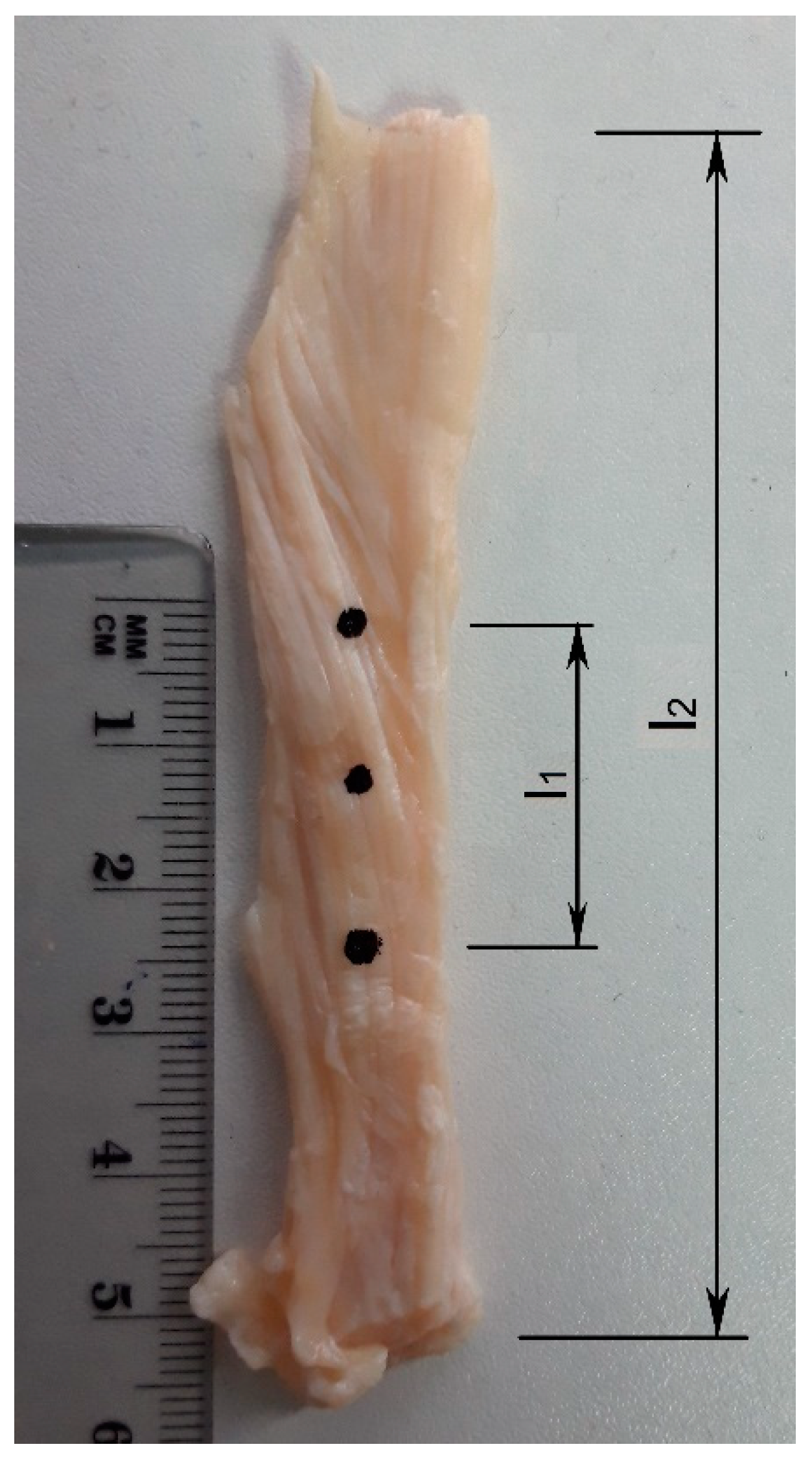 Machines 09 00364 g011