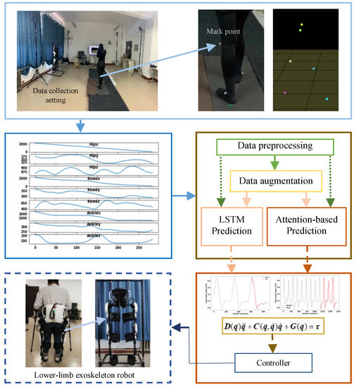 Human Gait Data Augmentation and Trajectory Prediction for