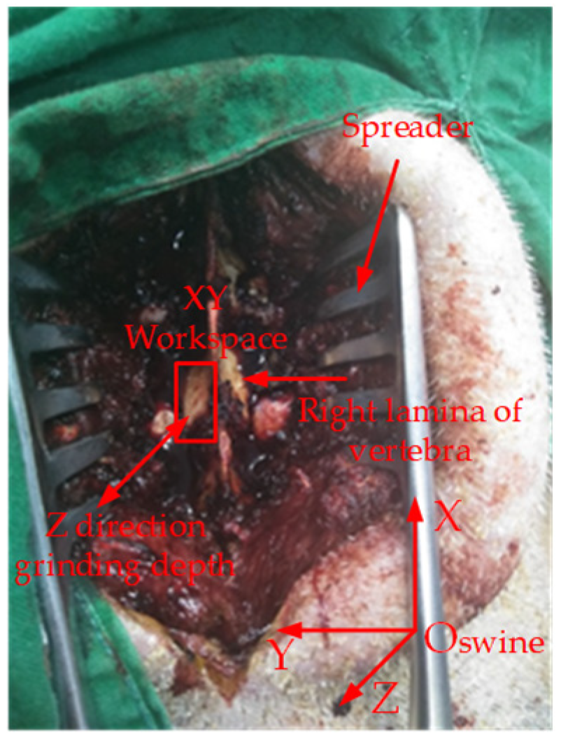 Machines 10 00029 g003 550