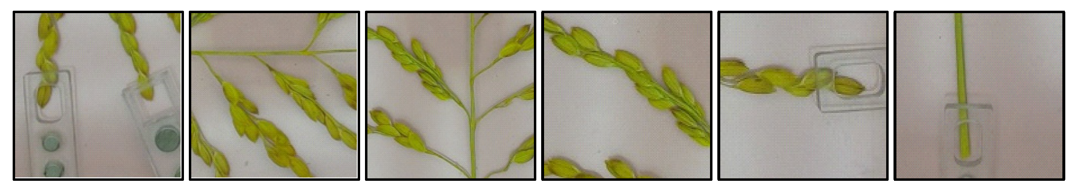 Machines 10 00030 g005