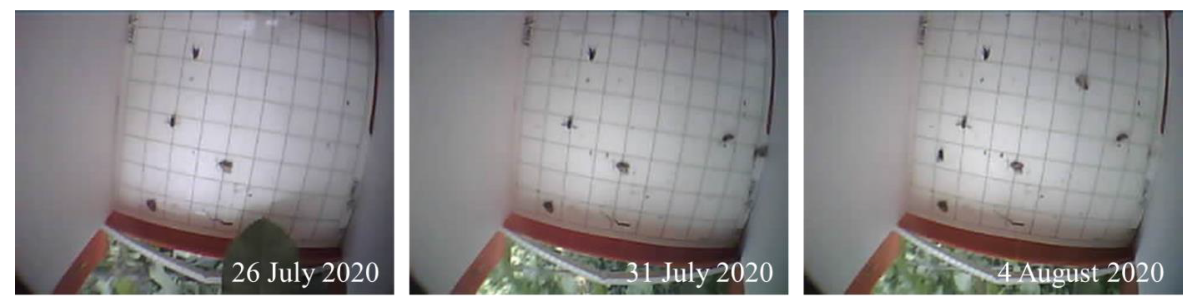 Machines 10 00052 g005 550