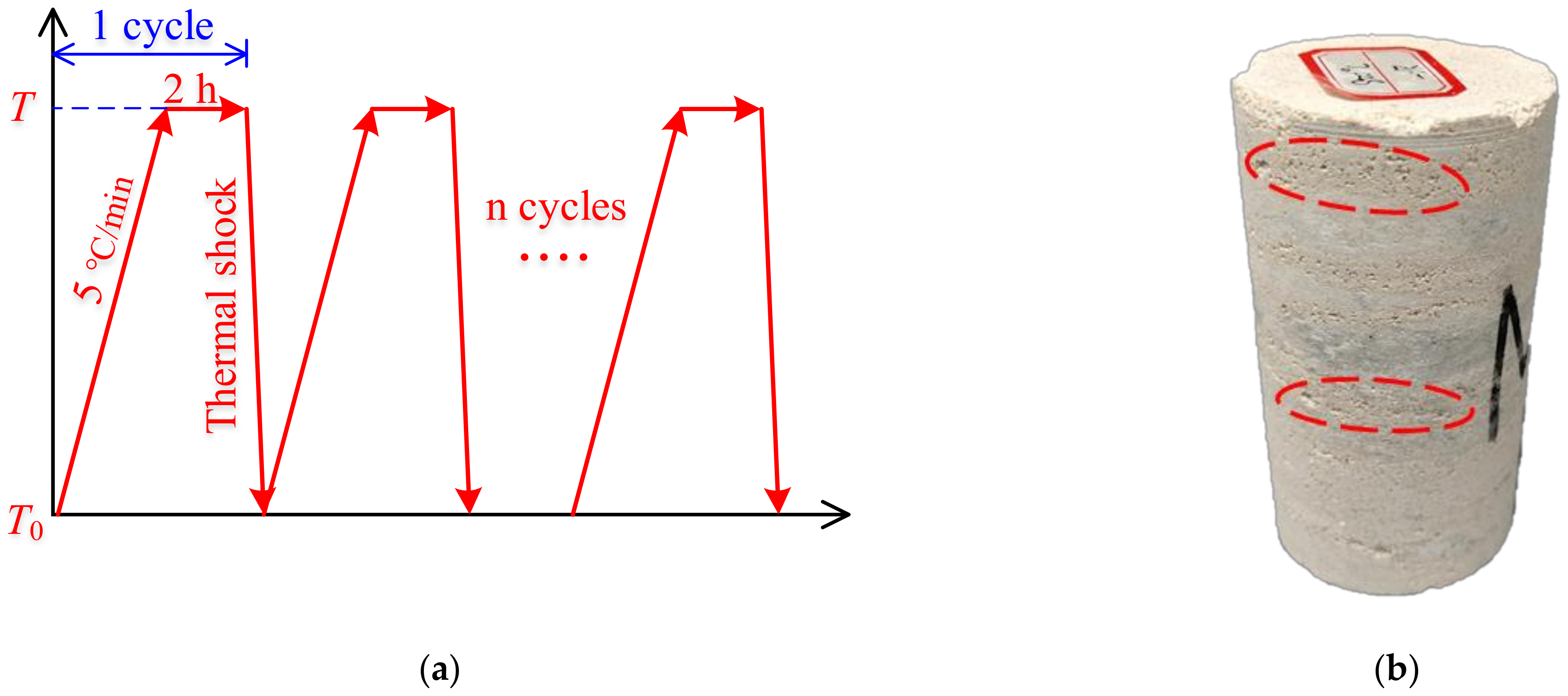 Machines 10 00058 g002