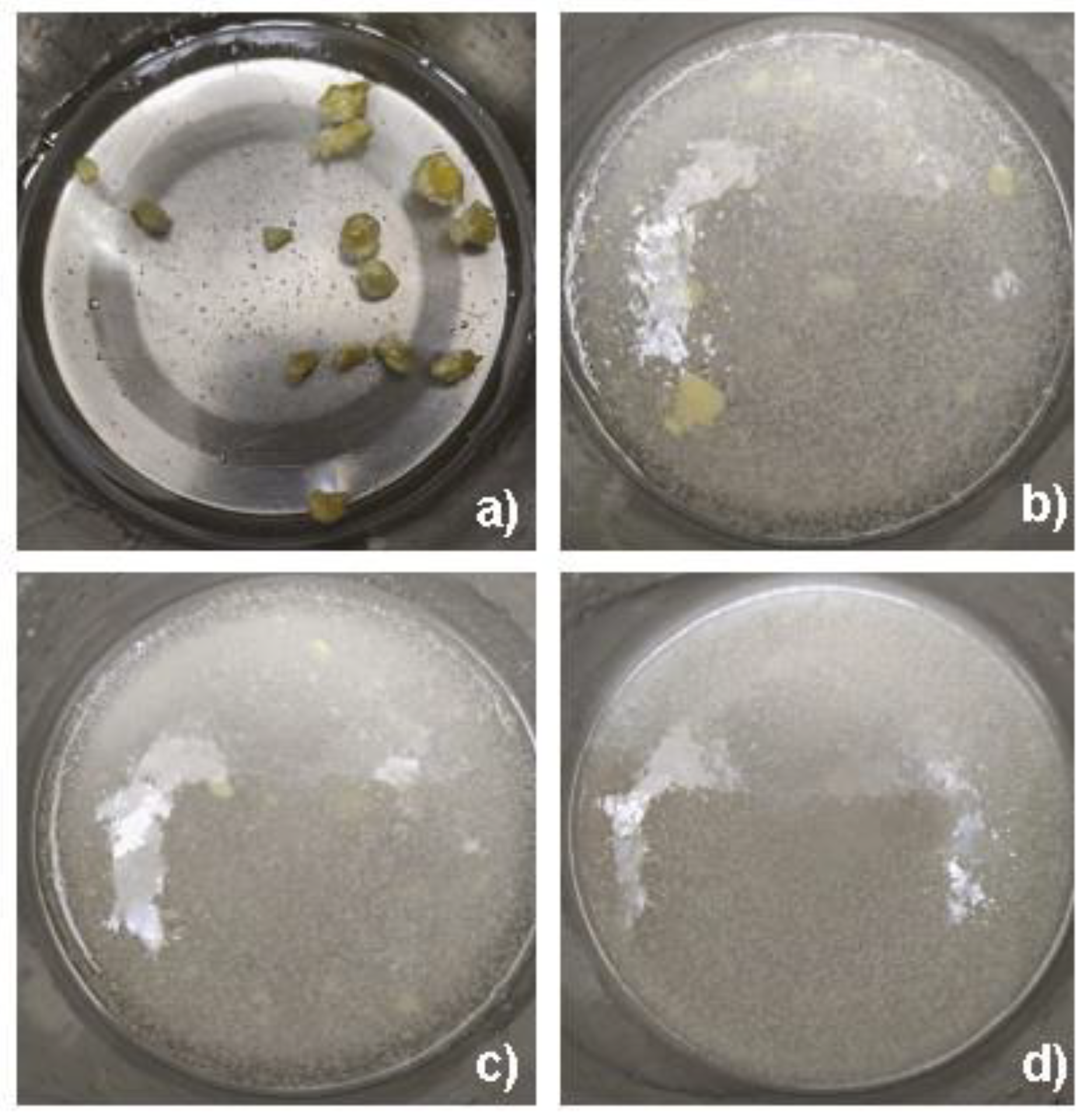 Machines 10 00092 g008 550