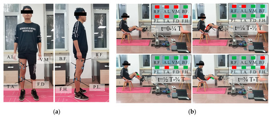 A Hybrid Mechanism-Based Robot for End-Traction Lower Limb ...