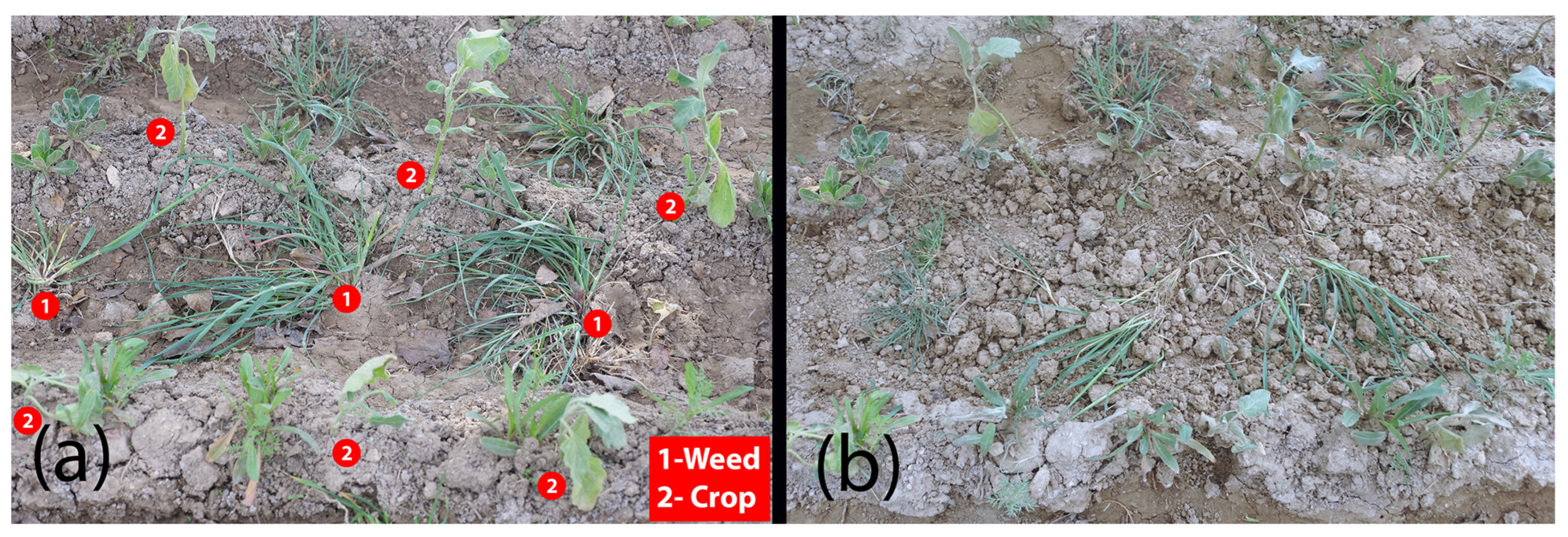 Machines 10 00198 g015 Machines 10 00198 g015