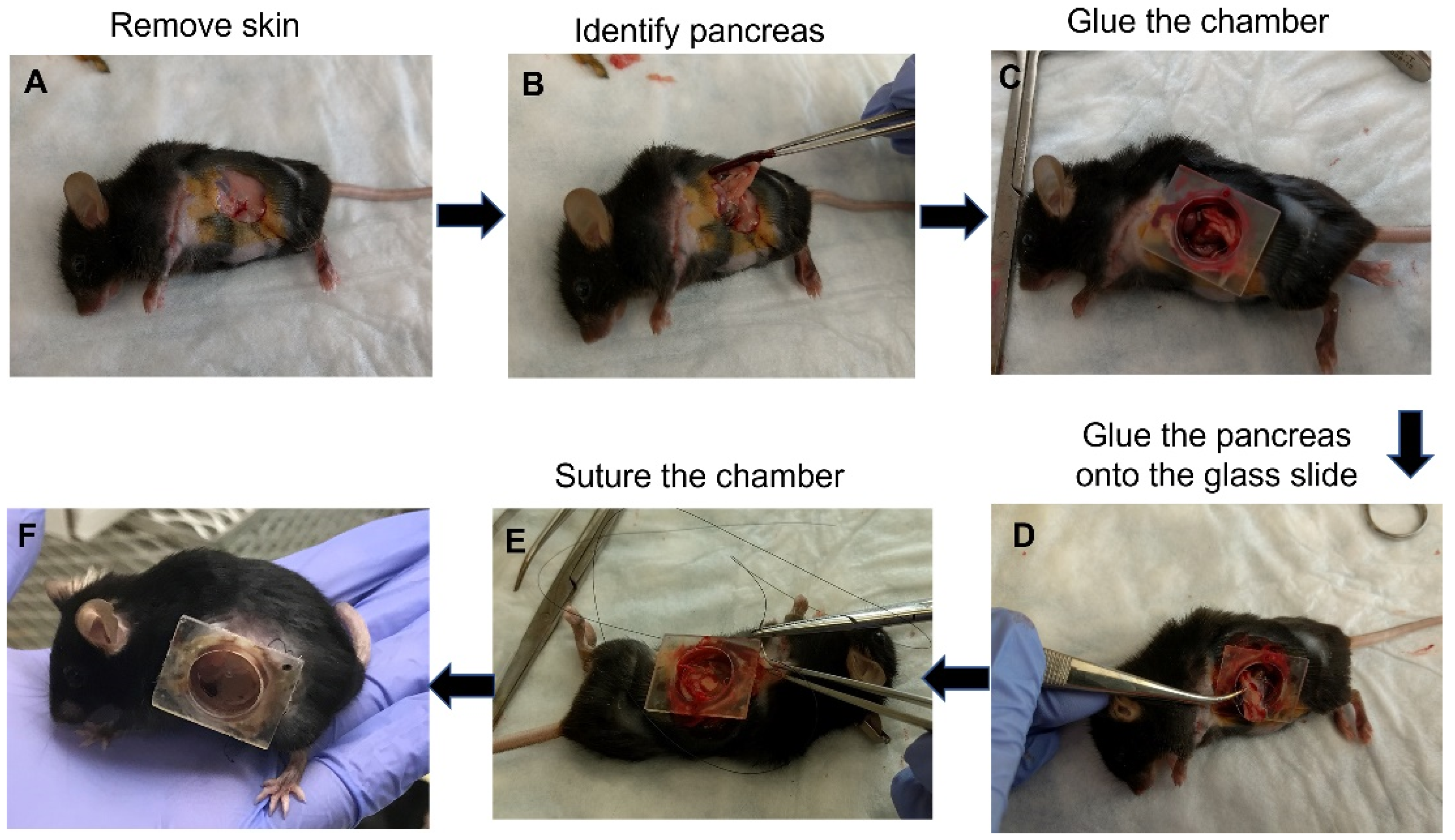 Machines 10 00697 g002