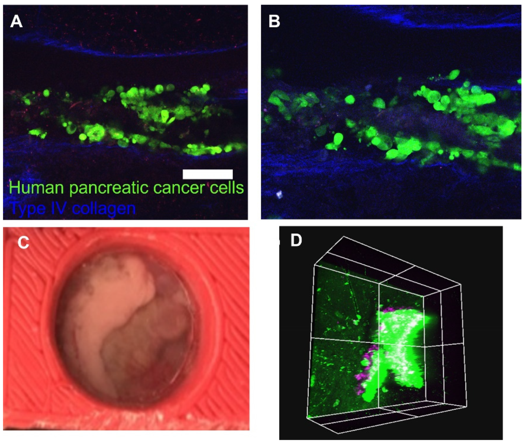 Machines 10 00697 g004
