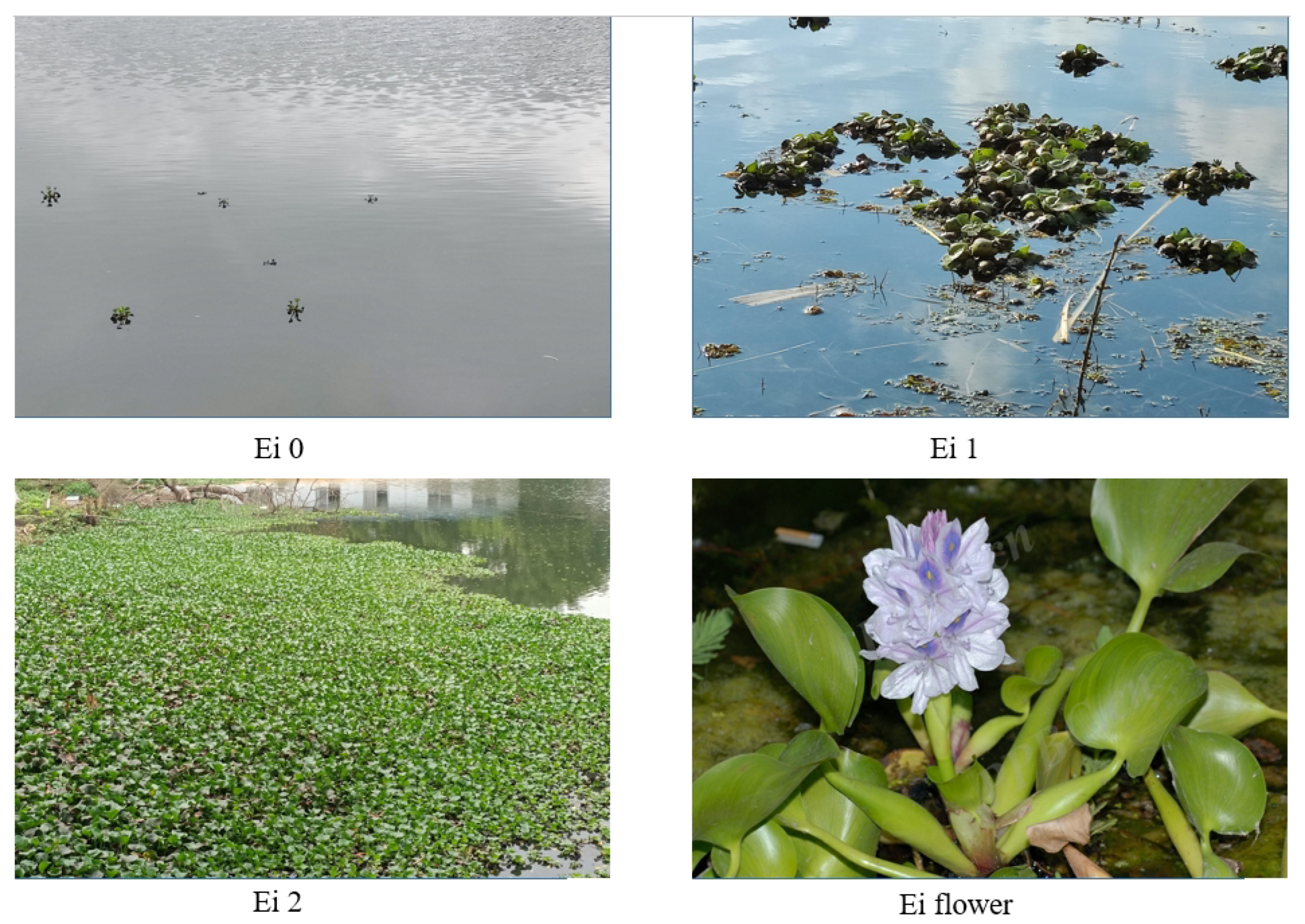 Machines 10 00754 g010 550