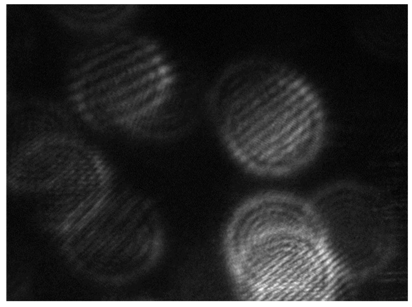 Machines 10 00771 g006