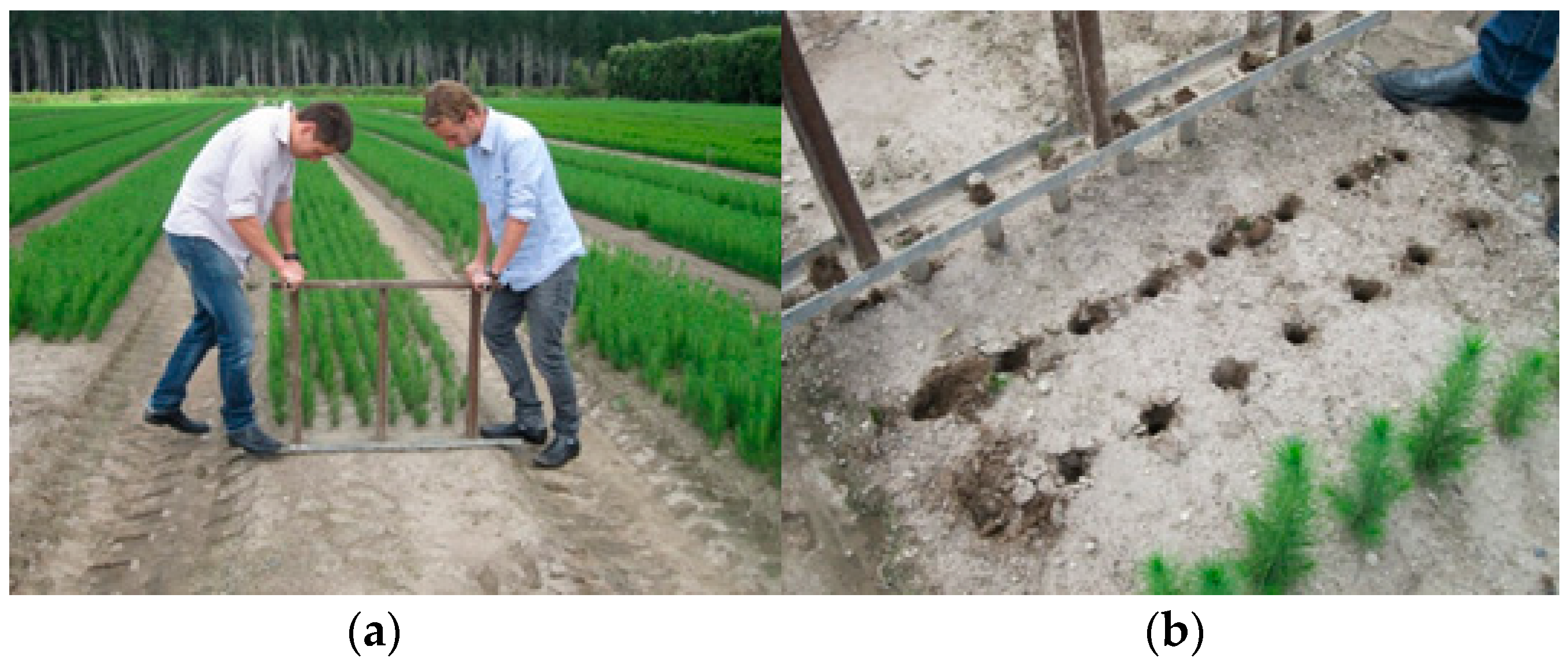 Machines 10 00790 g003 550