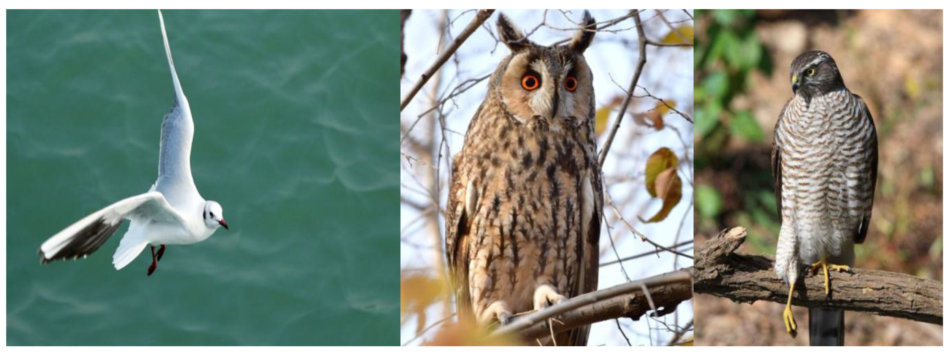 Machines 11 00043 g001 Machines 11 00043 g001