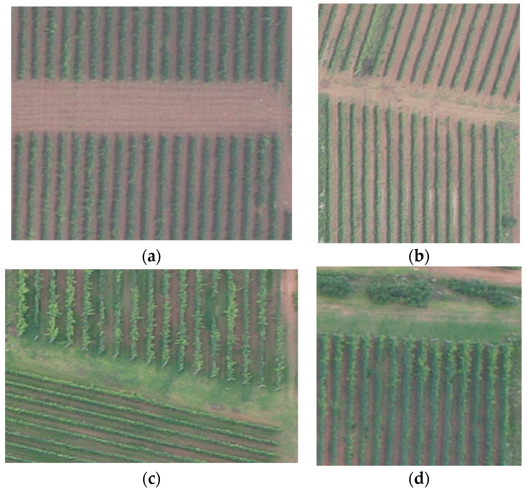 Machines 11 00084 g002