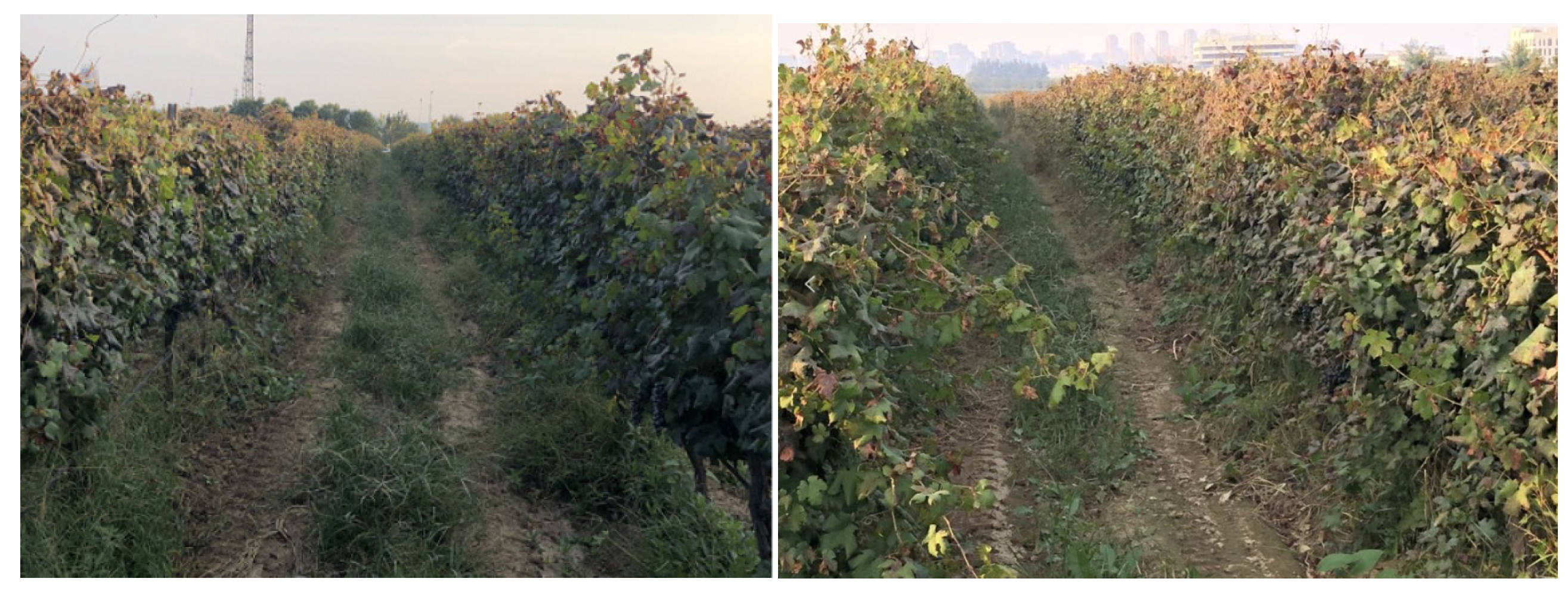 Machines 11 00084 g003