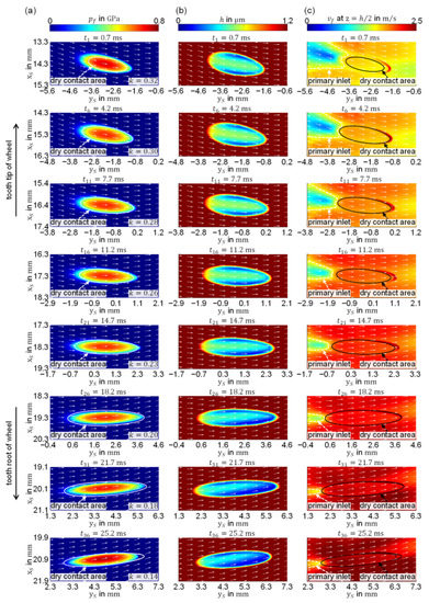 Thermal Elastohydrodynamic Analysis of a Worm Gear