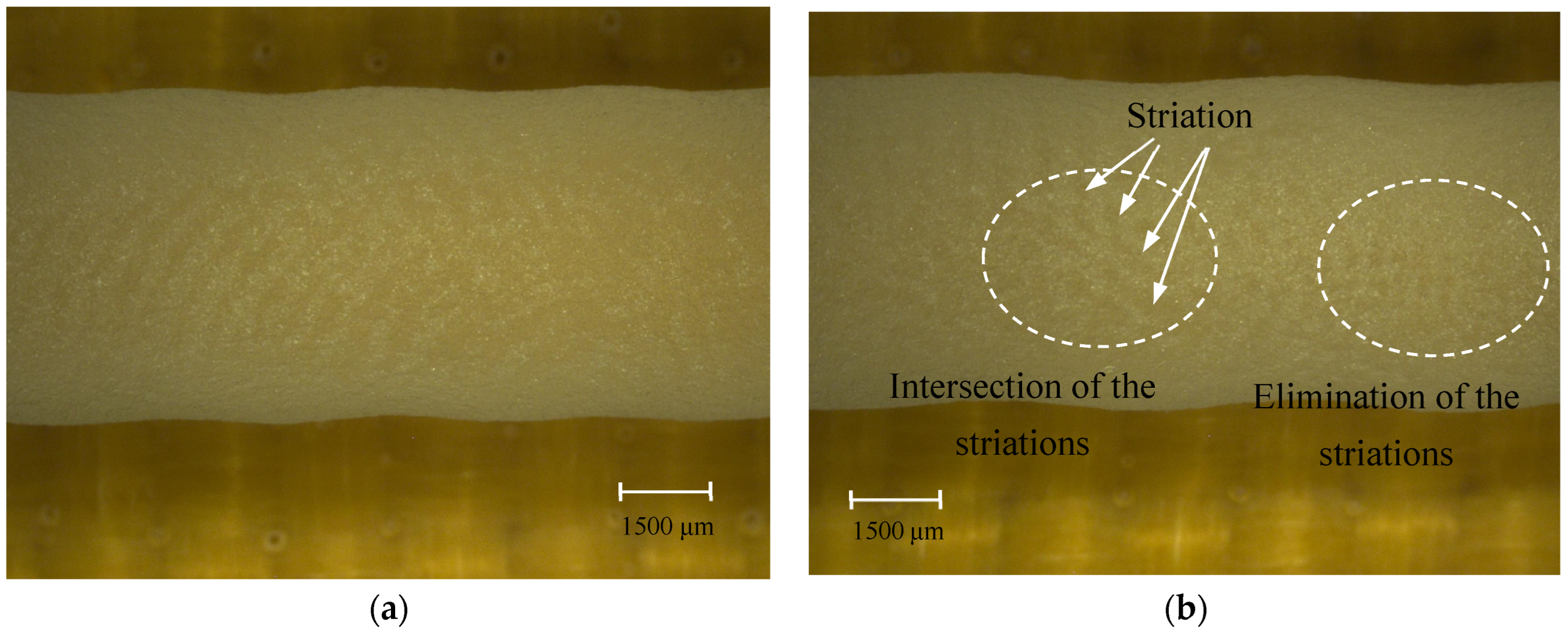 Machines 11 00164 g008