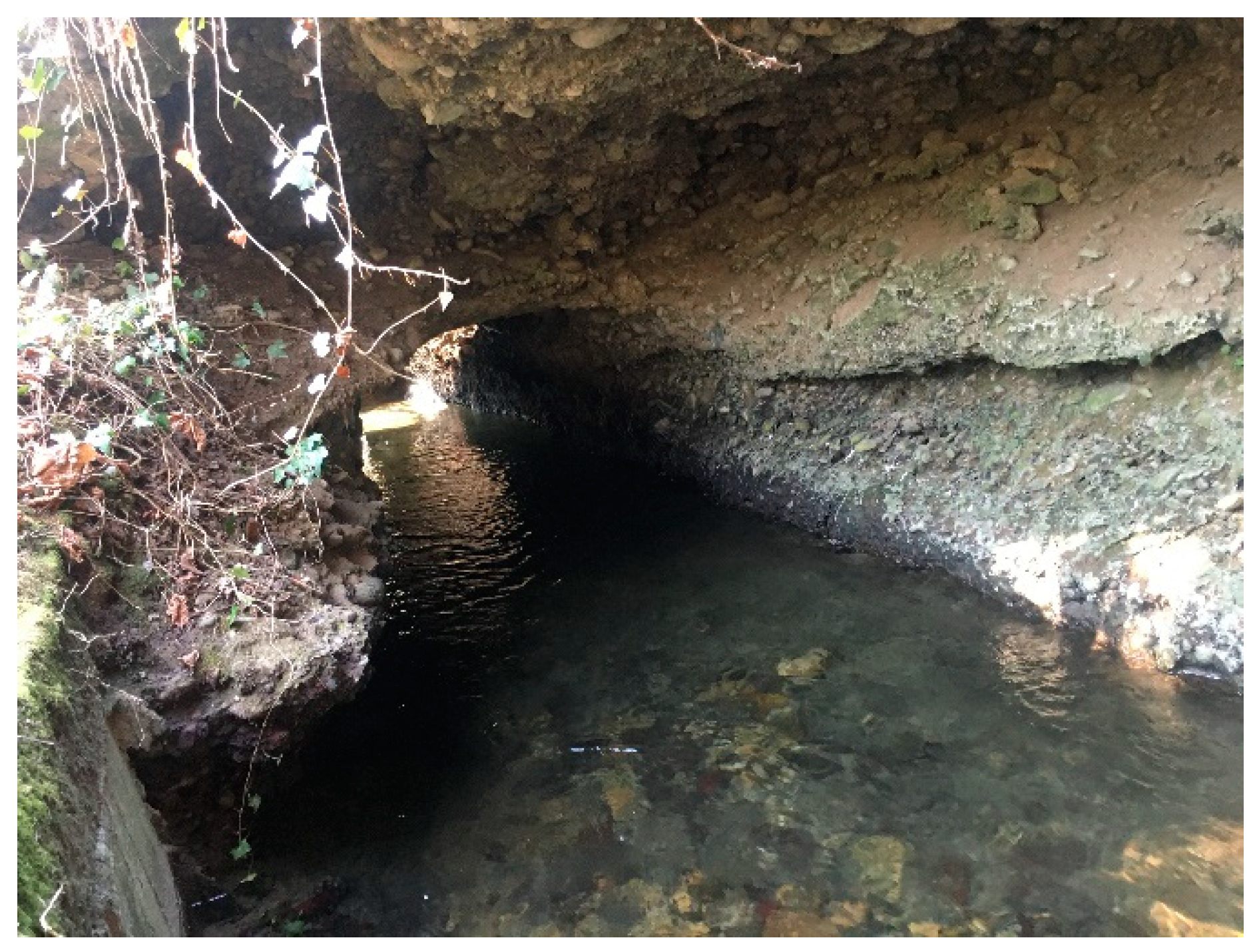 Machines 11 00180 g004