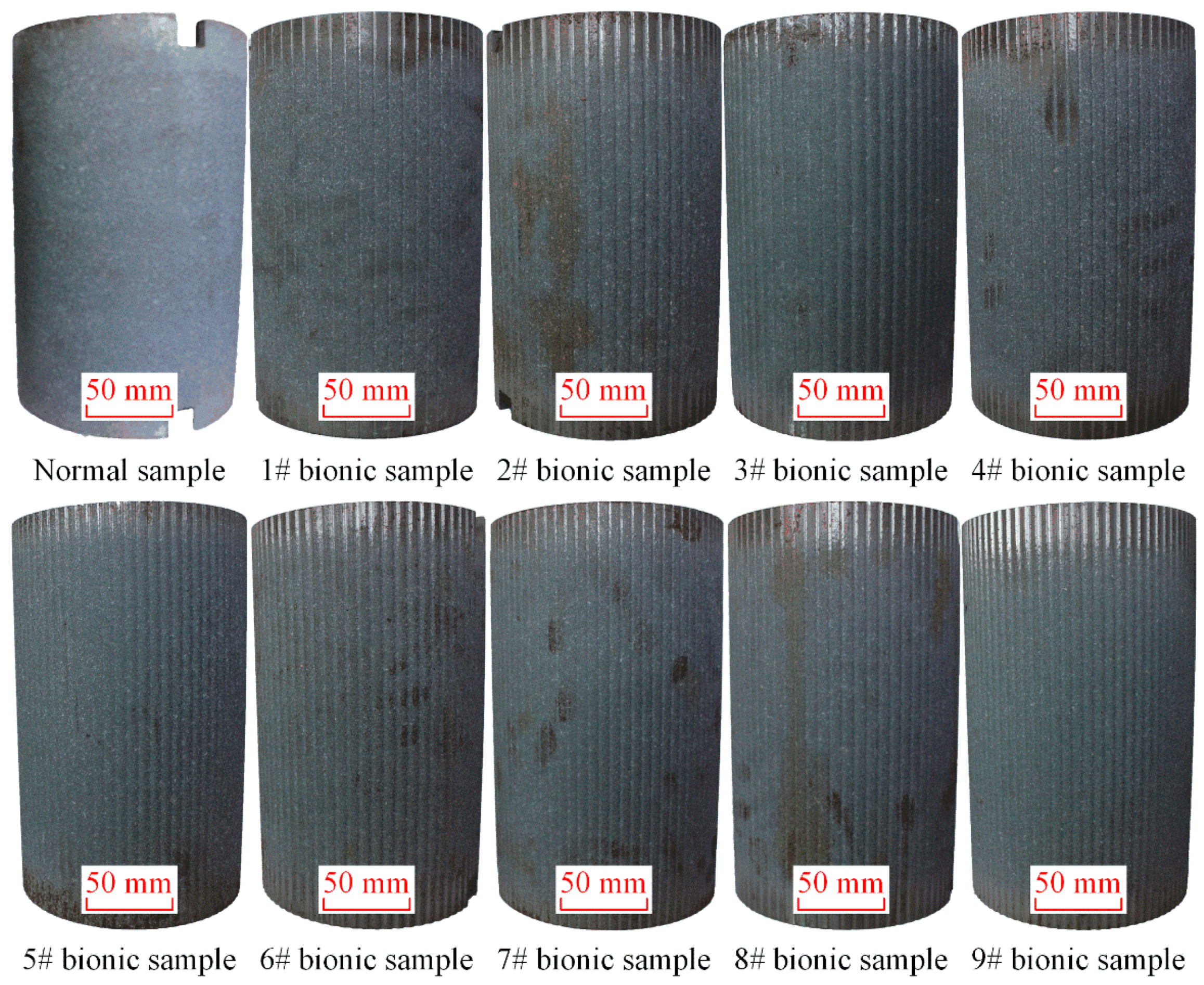 Machines 11 00239 g004 550