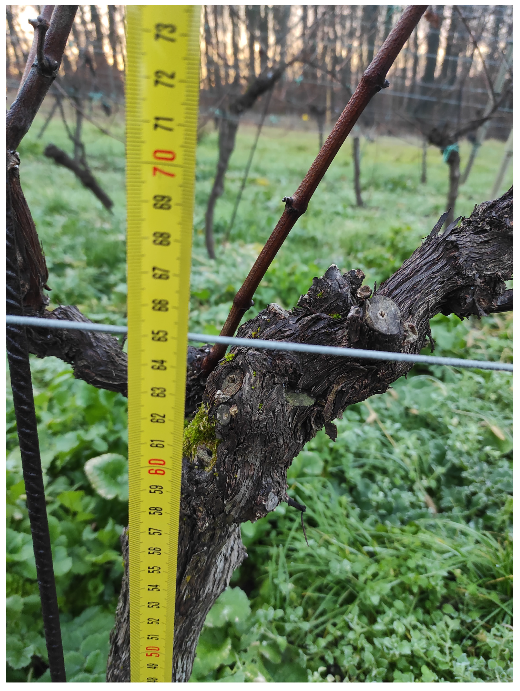 Machines 11 00414 g011