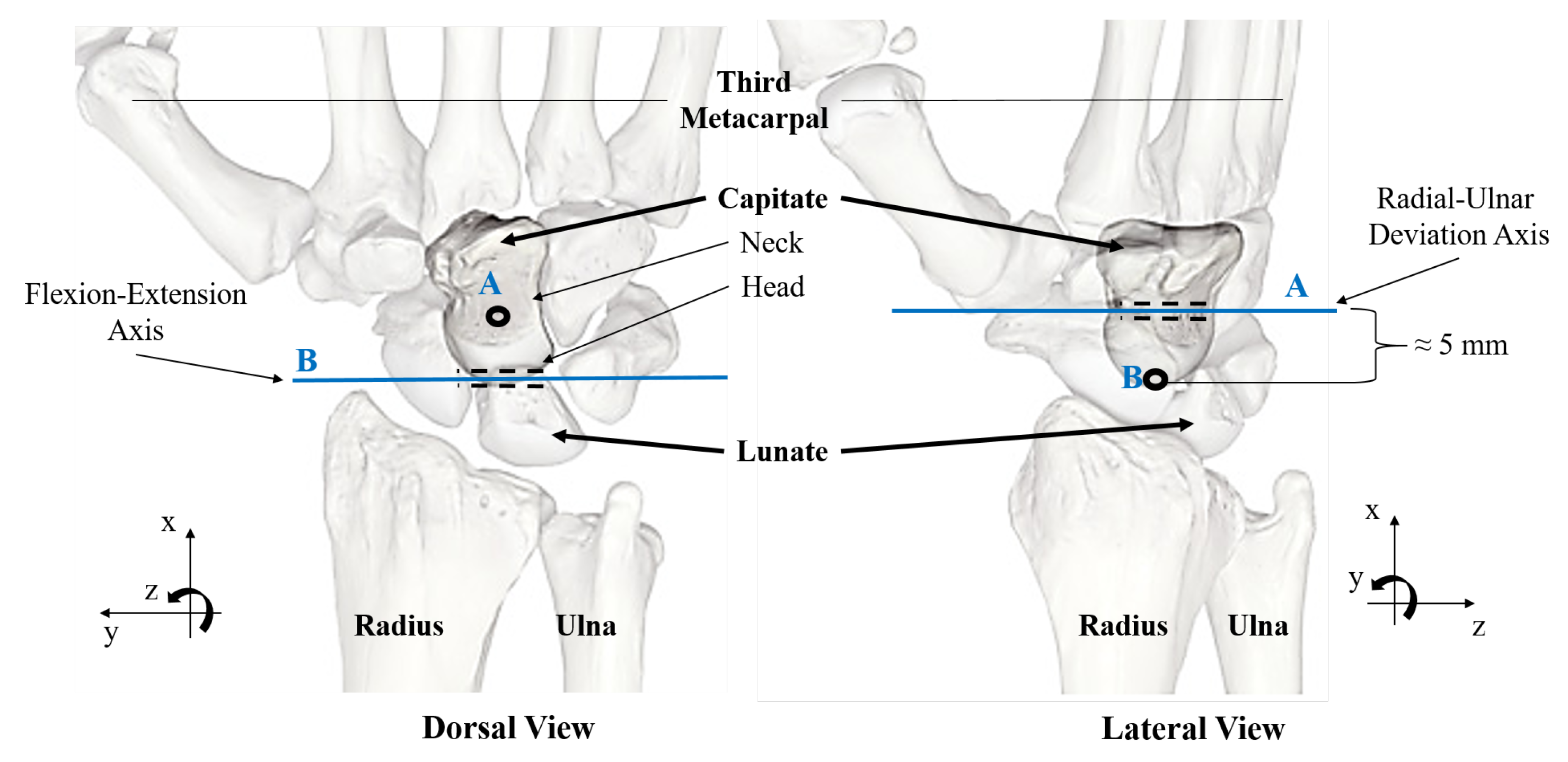 Machines 11 00458 g003