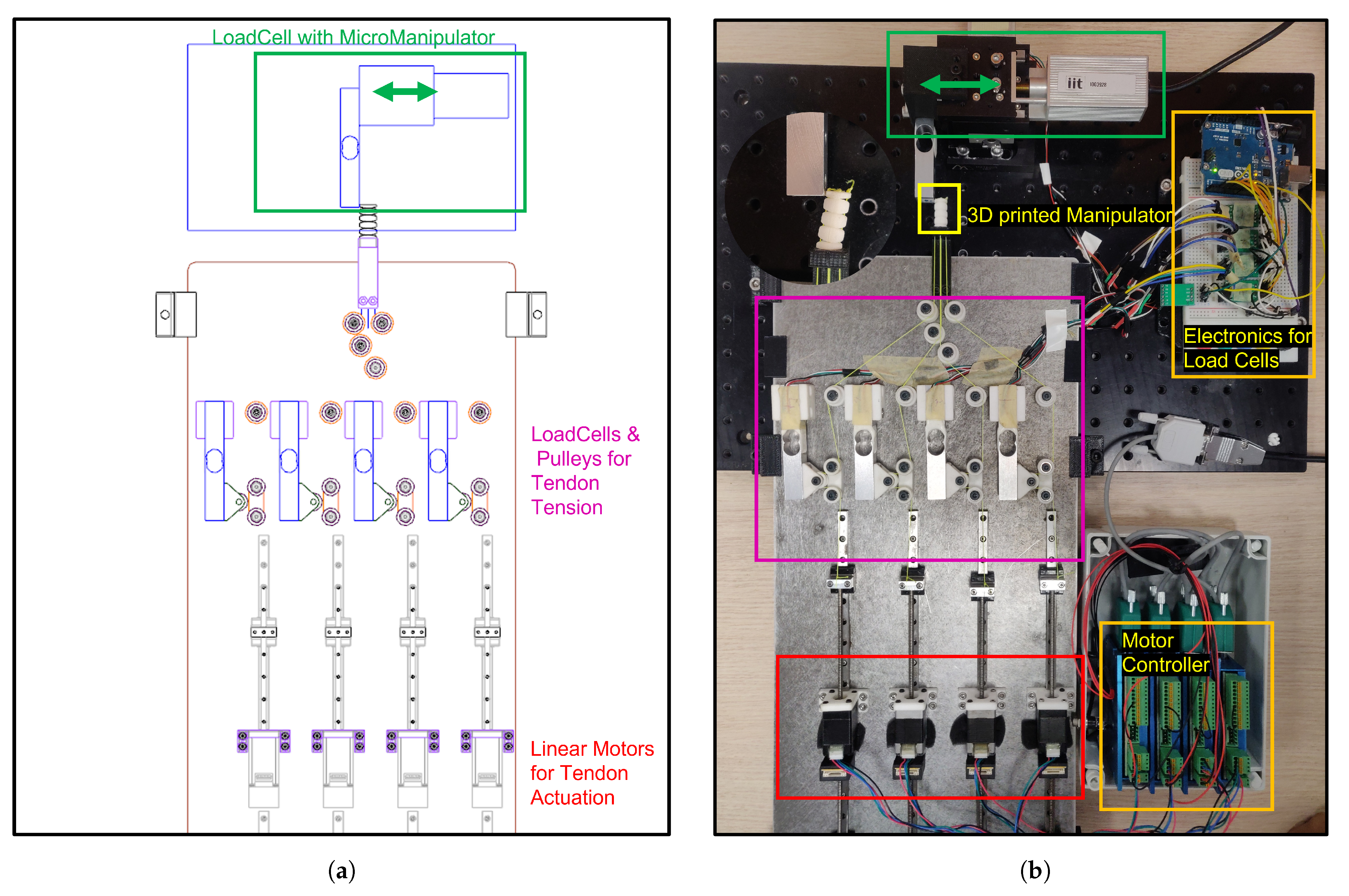 Machines 11 00662 g006
